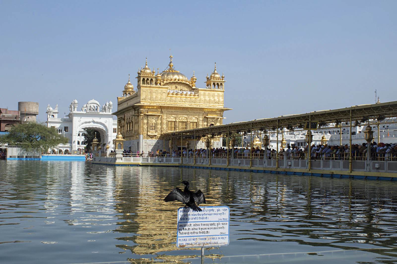 Amritsar, India photo 23 by Dharambir Singh