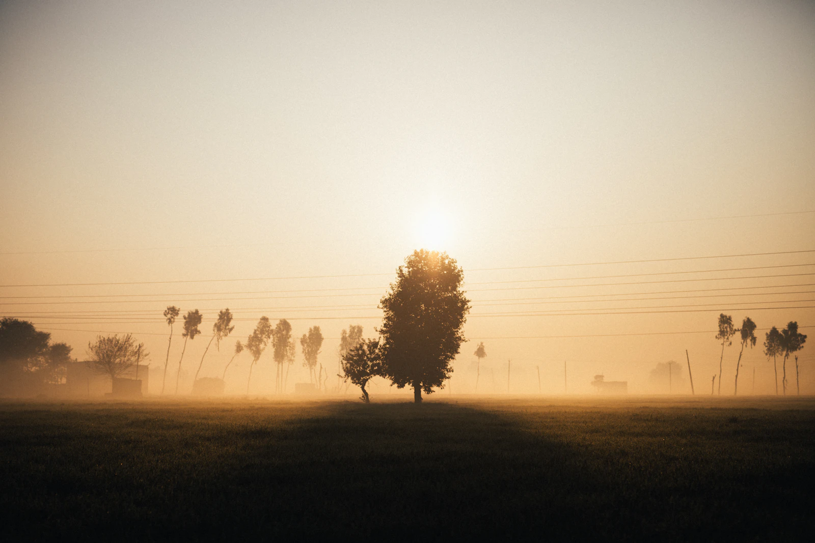 Amritsar, India photo 8 by Parker Hilton
