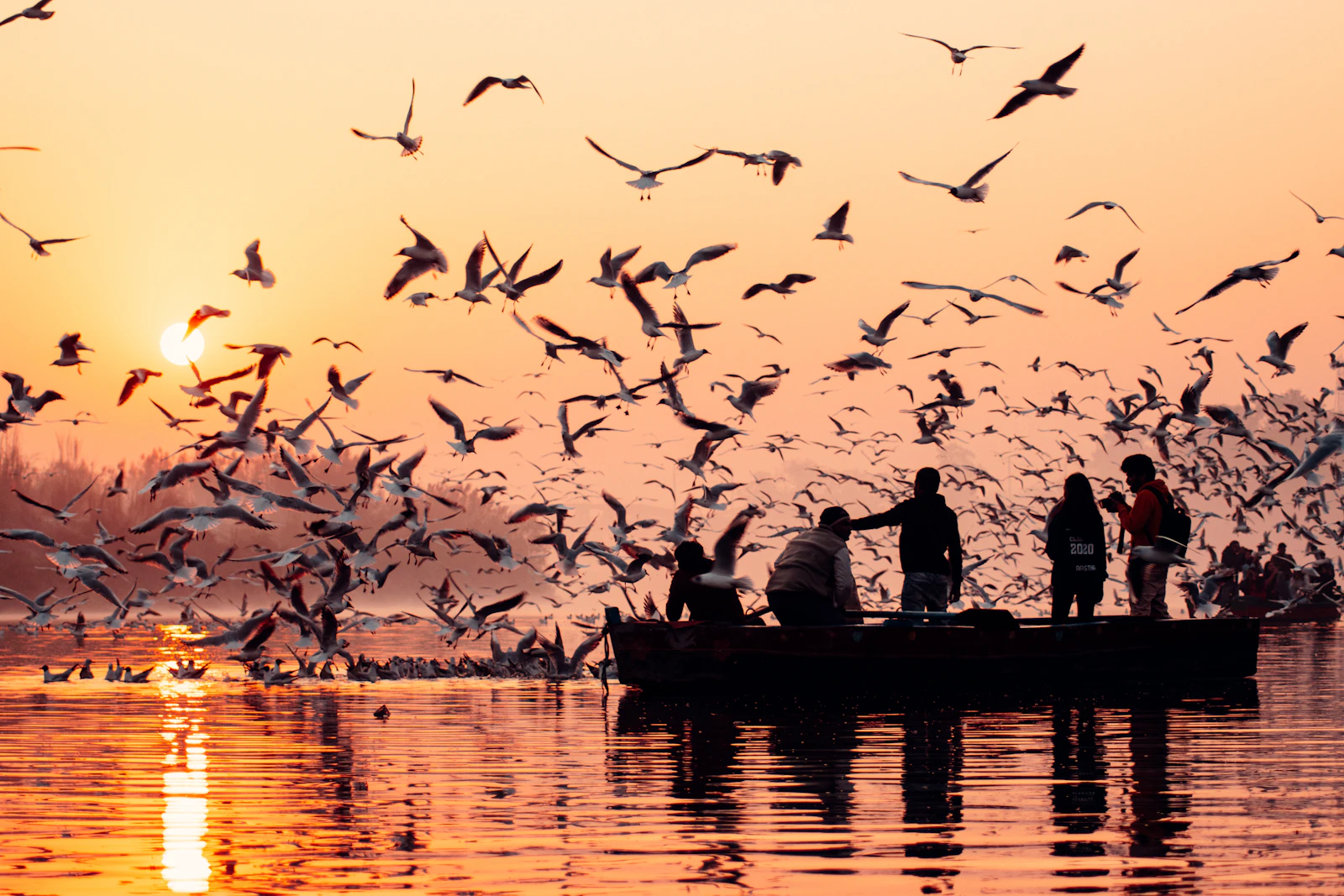 Delhi, India photo 19 by Anuj Yadav