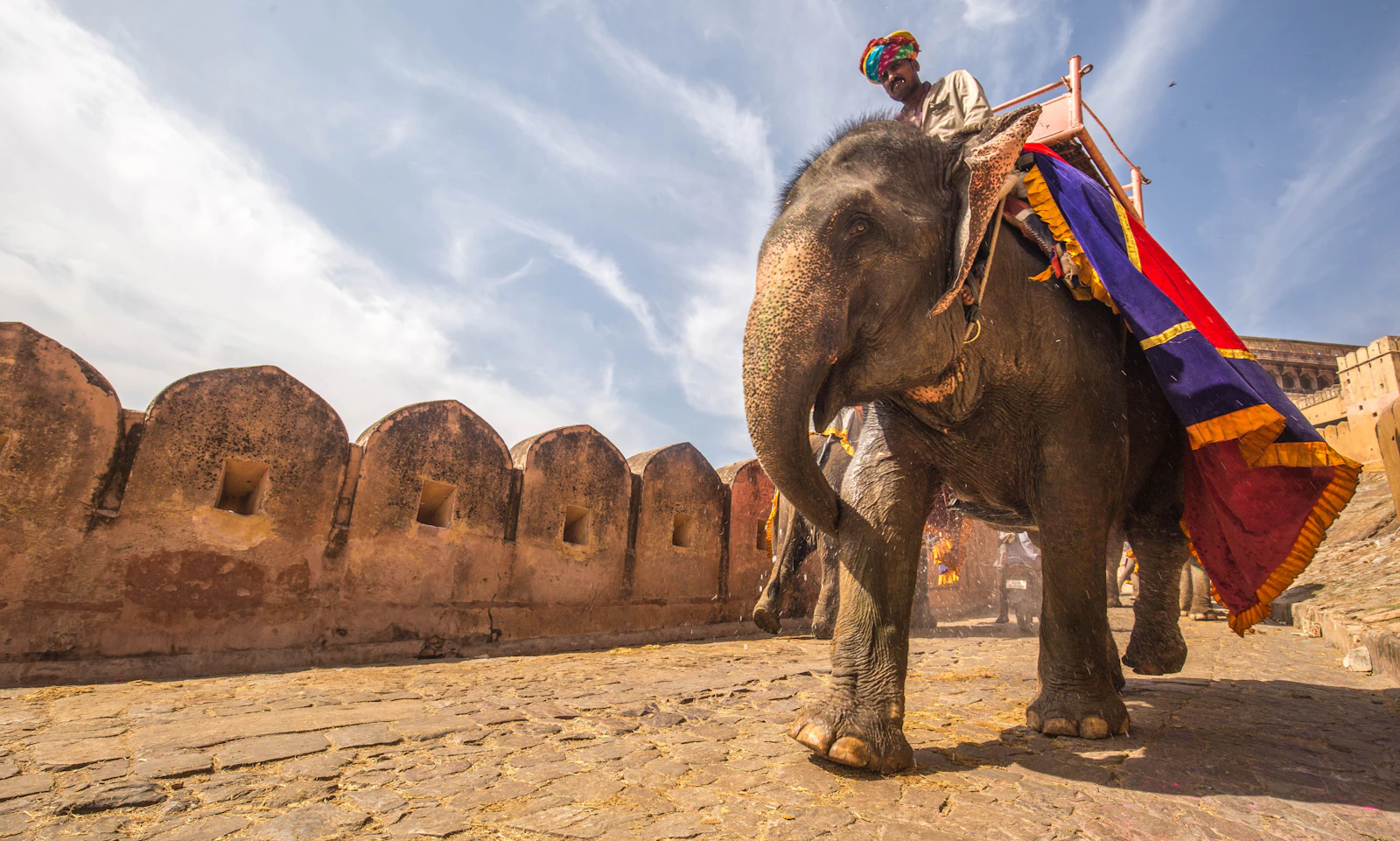 Jaipur, India photo 8 by C Rayban