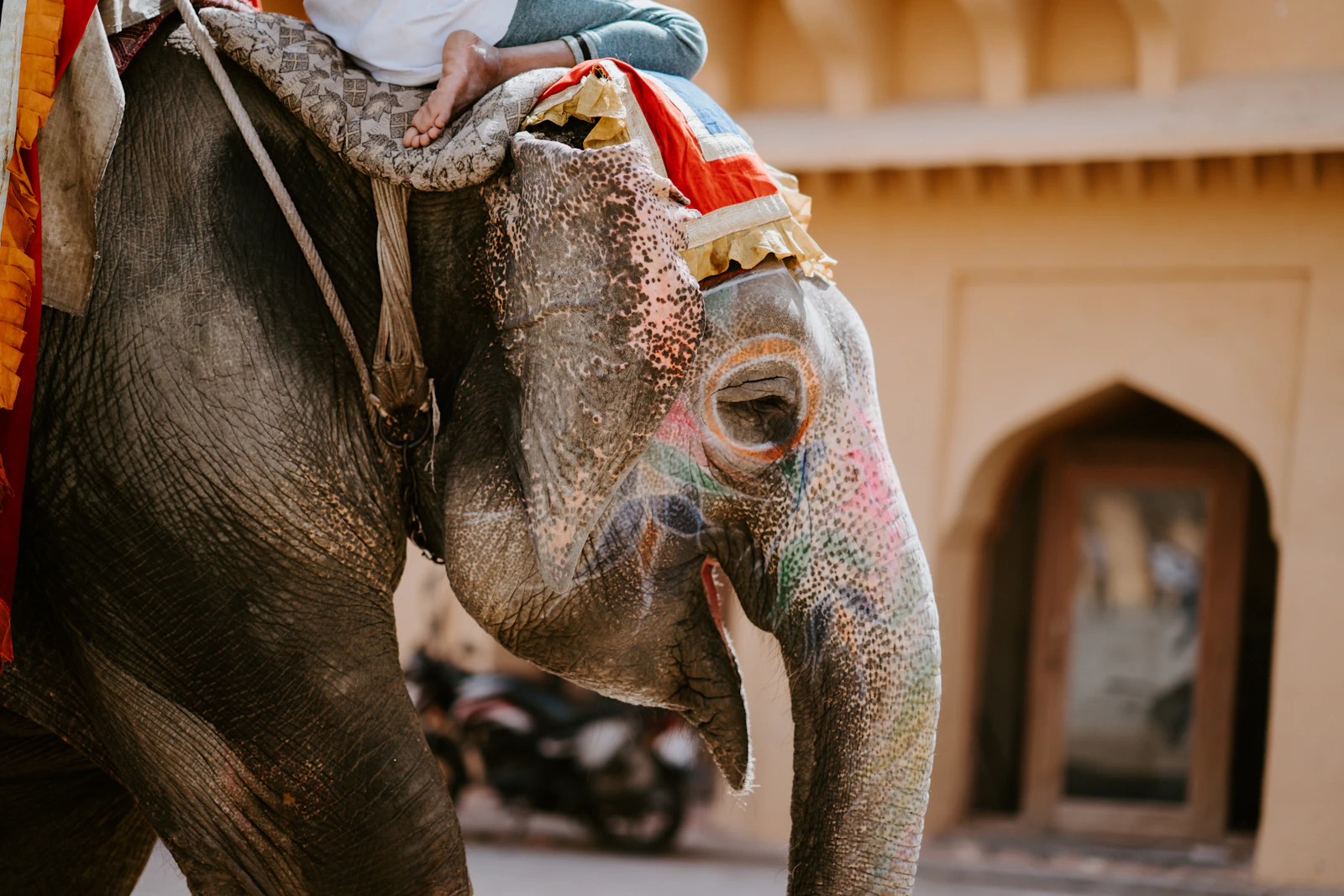 Jaipur, India photo 26 by Annie Spratt