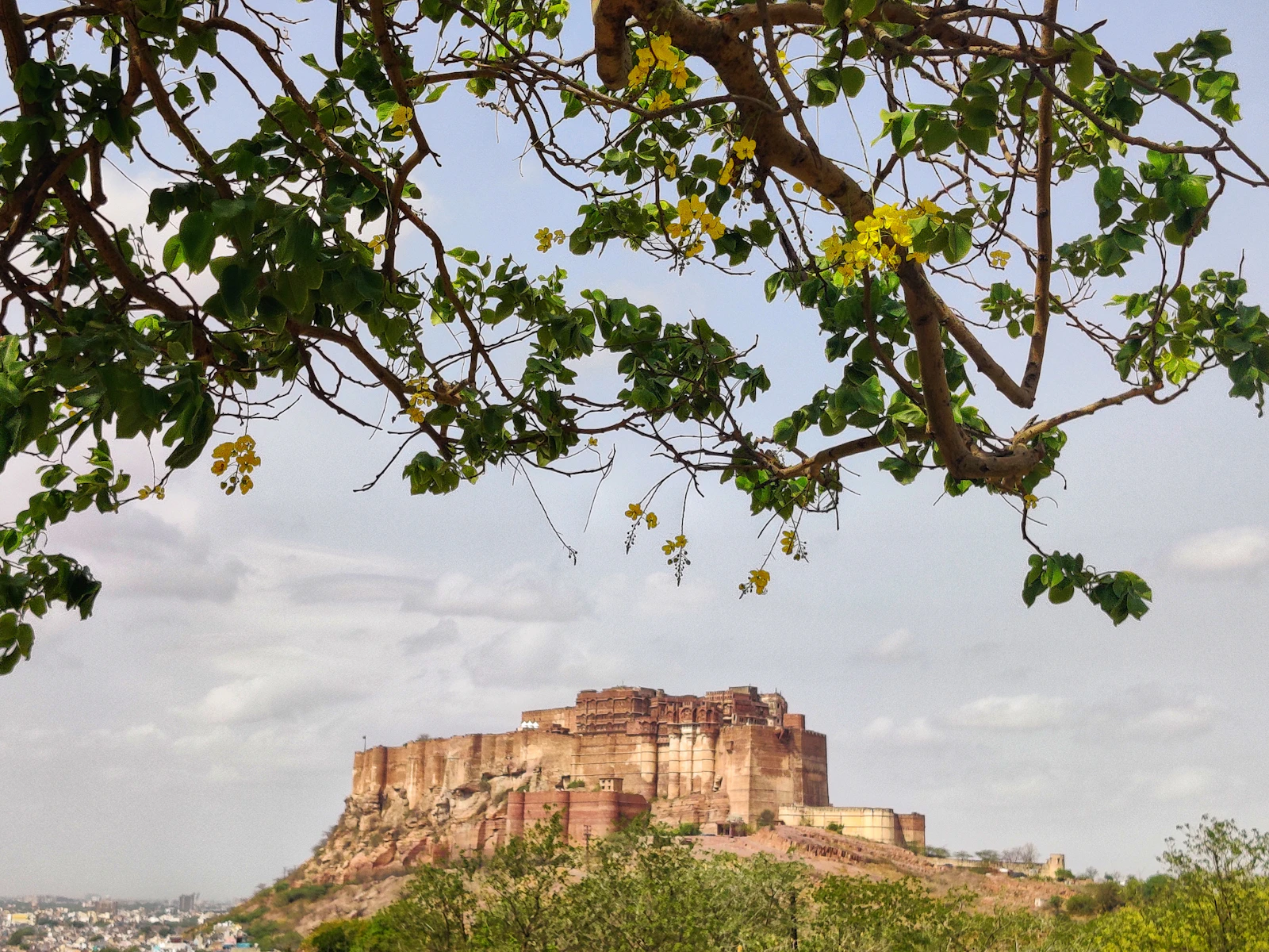 Jodhpur, India photo 13 by Meghna Rawat