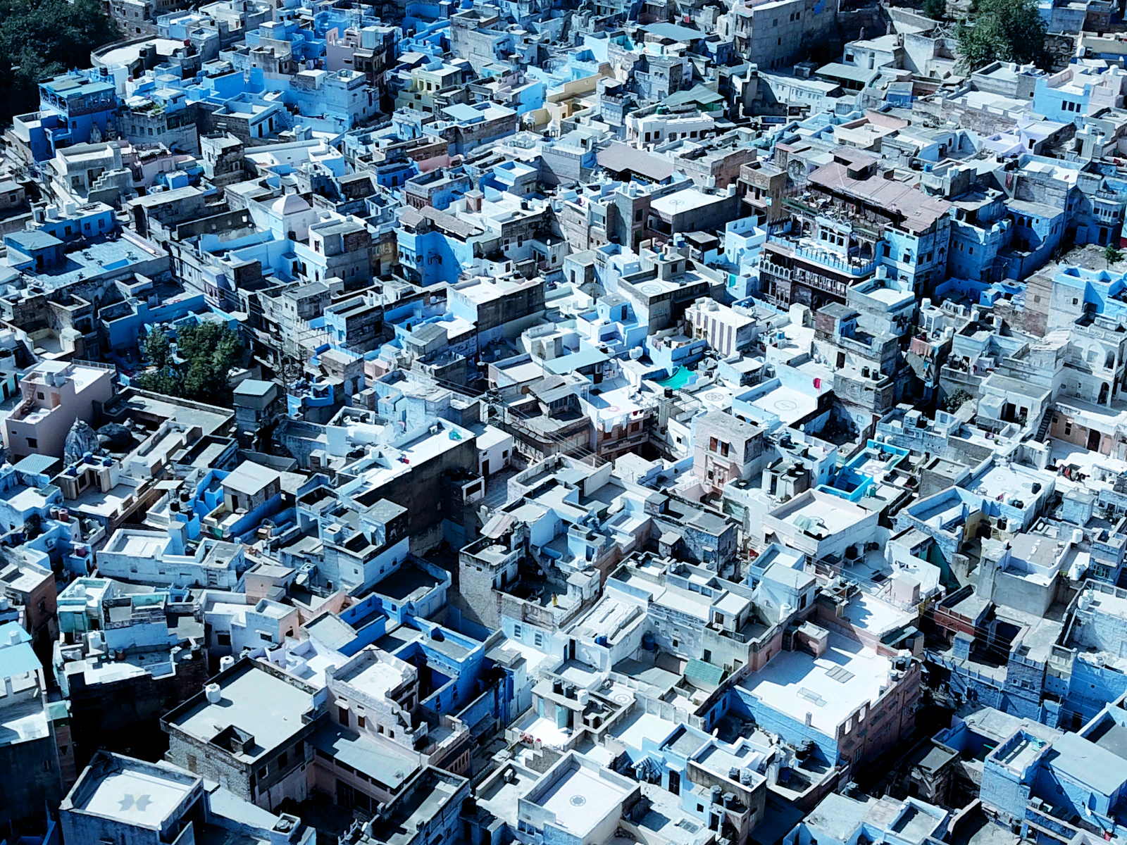 Jodhpur, India photo 12 by Freysteinn G. Jonsson