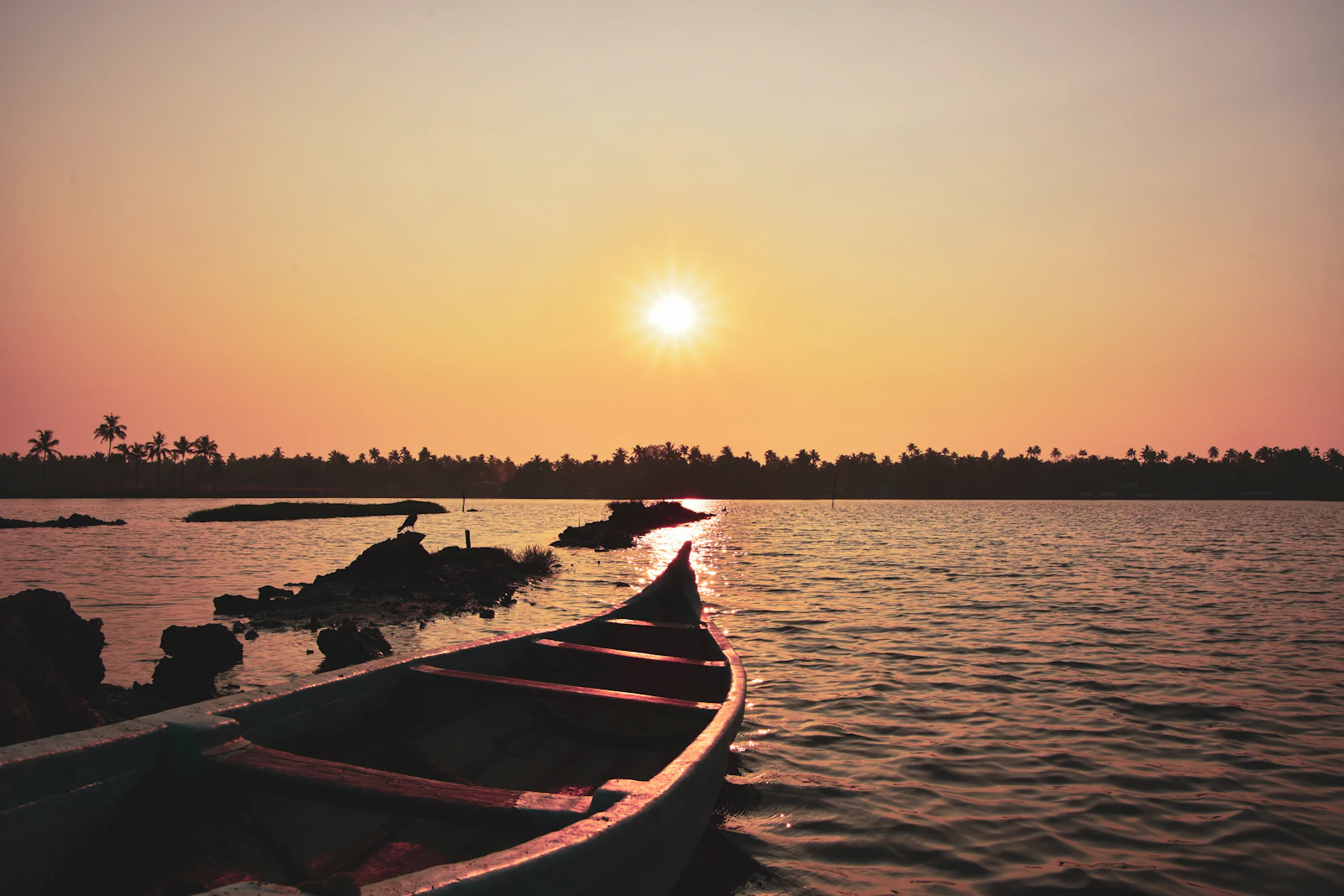 Kochi, India photo 15 by Avin CP