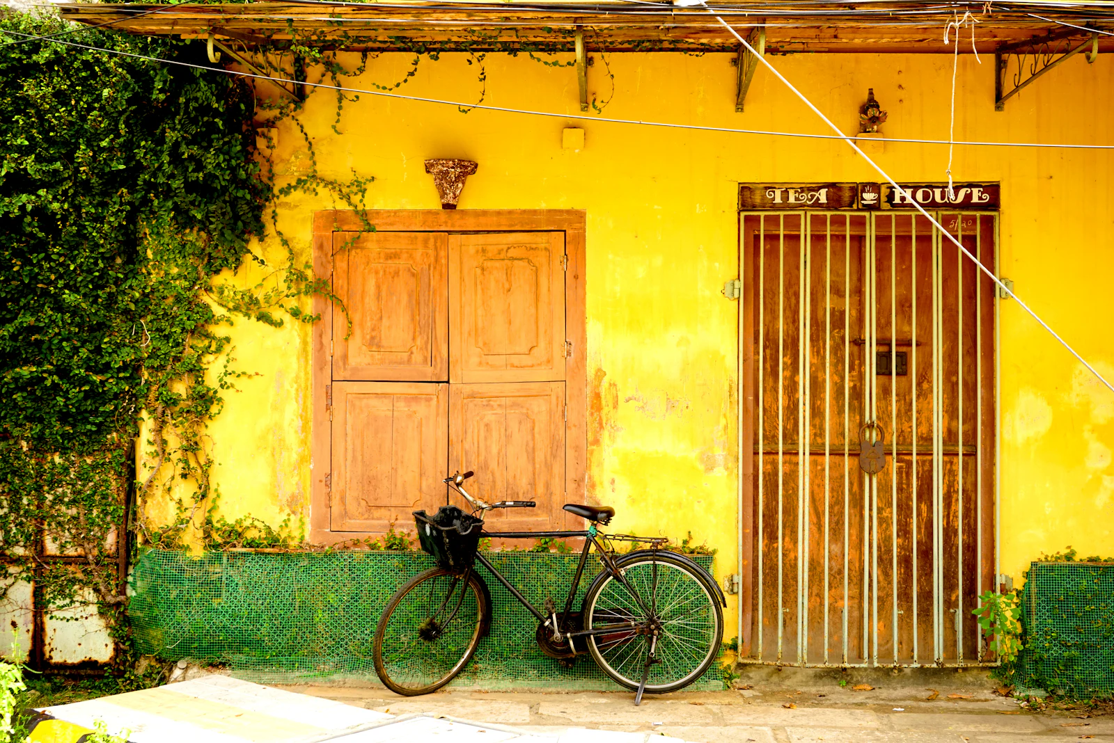 Kochi, India photo 26 by safa _made