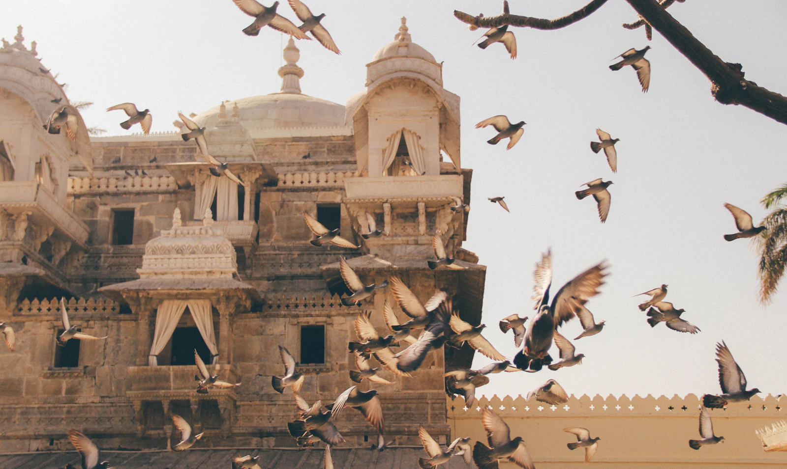 Udaipur, India photo 6 by Mitchell Ng Liang an