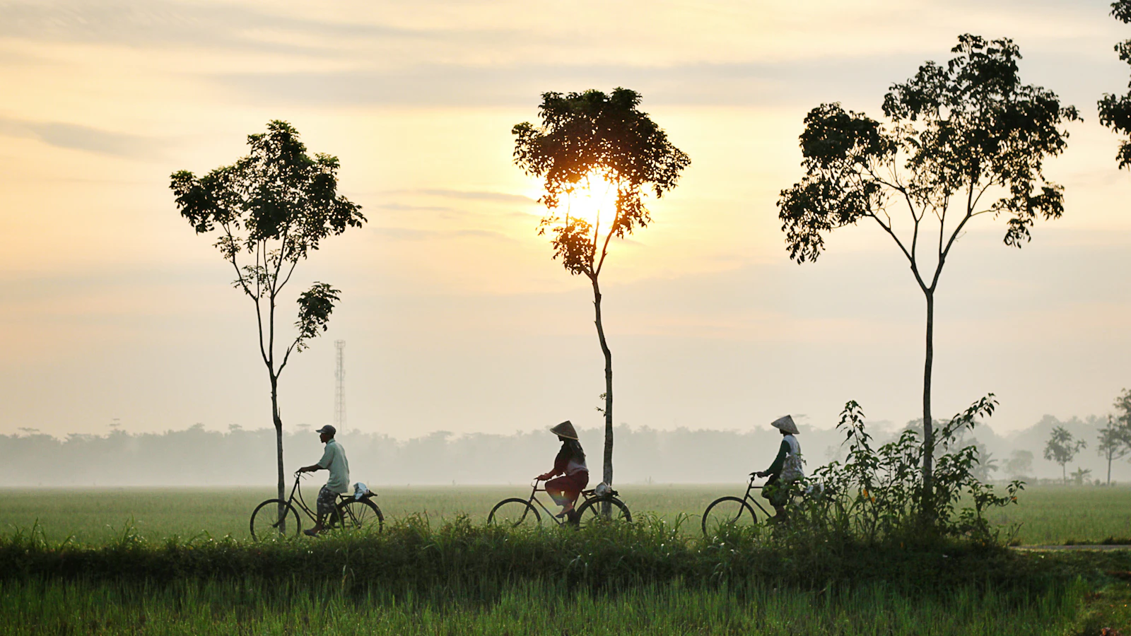 Bandung, Indonesia photo 5 by Dikaseva