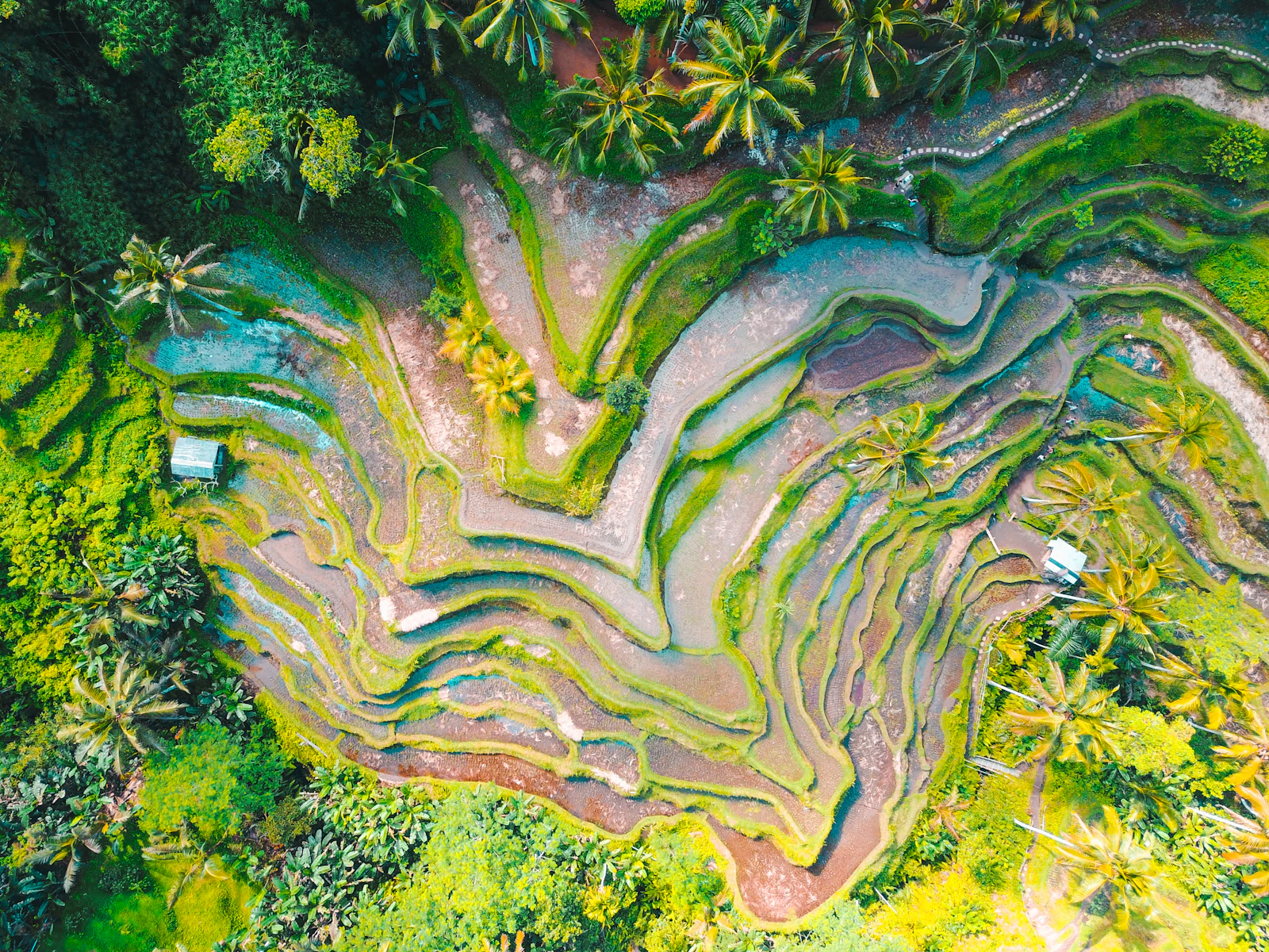 Bandung, Indonesia photo 10 by Jason Cooper