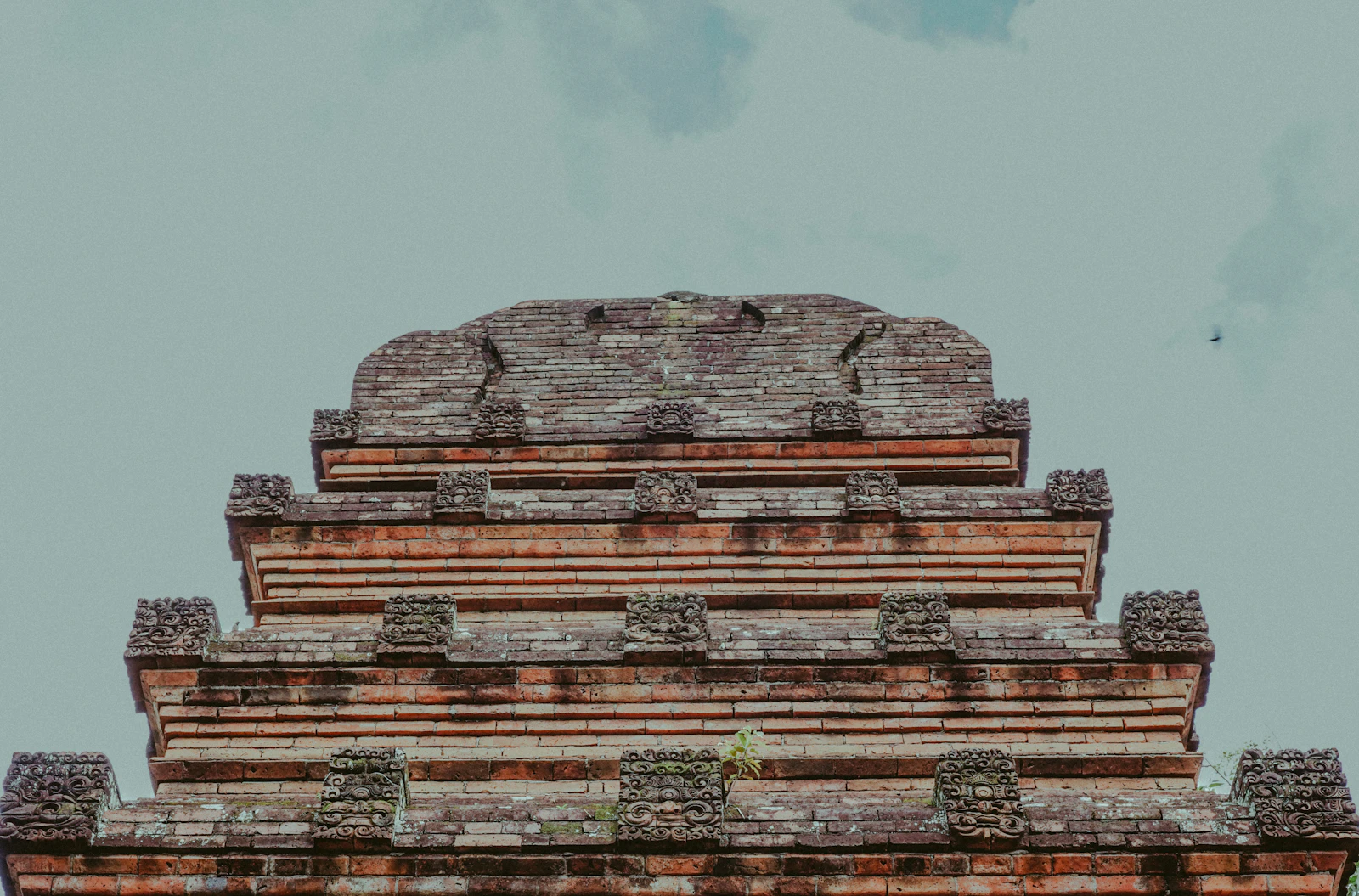 Denpasar, Indonesia photo 11 by I Nyoman Yuda Wirawan