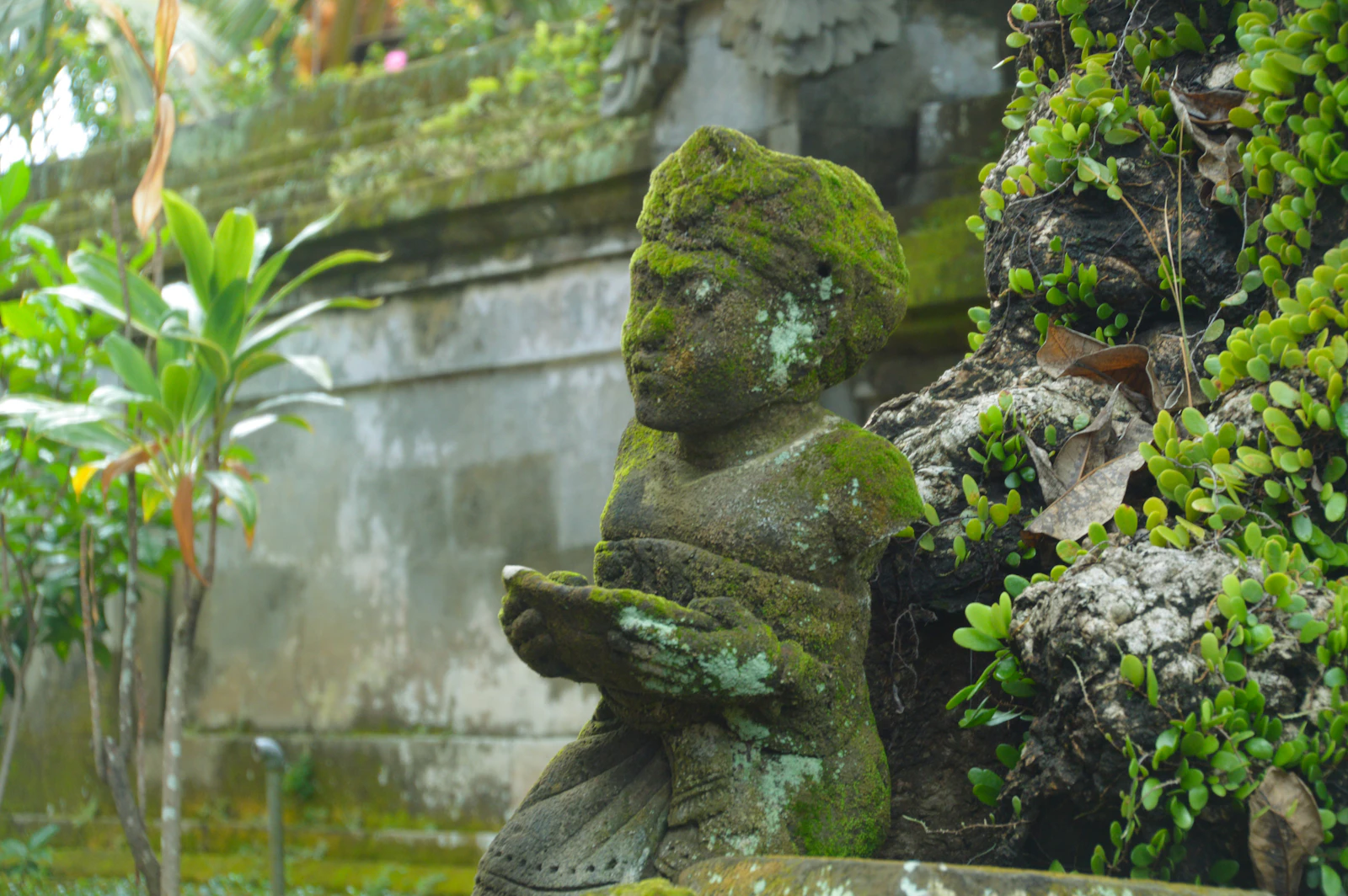 Denpasar, Indonesia photo 5 by Saksham Vikram