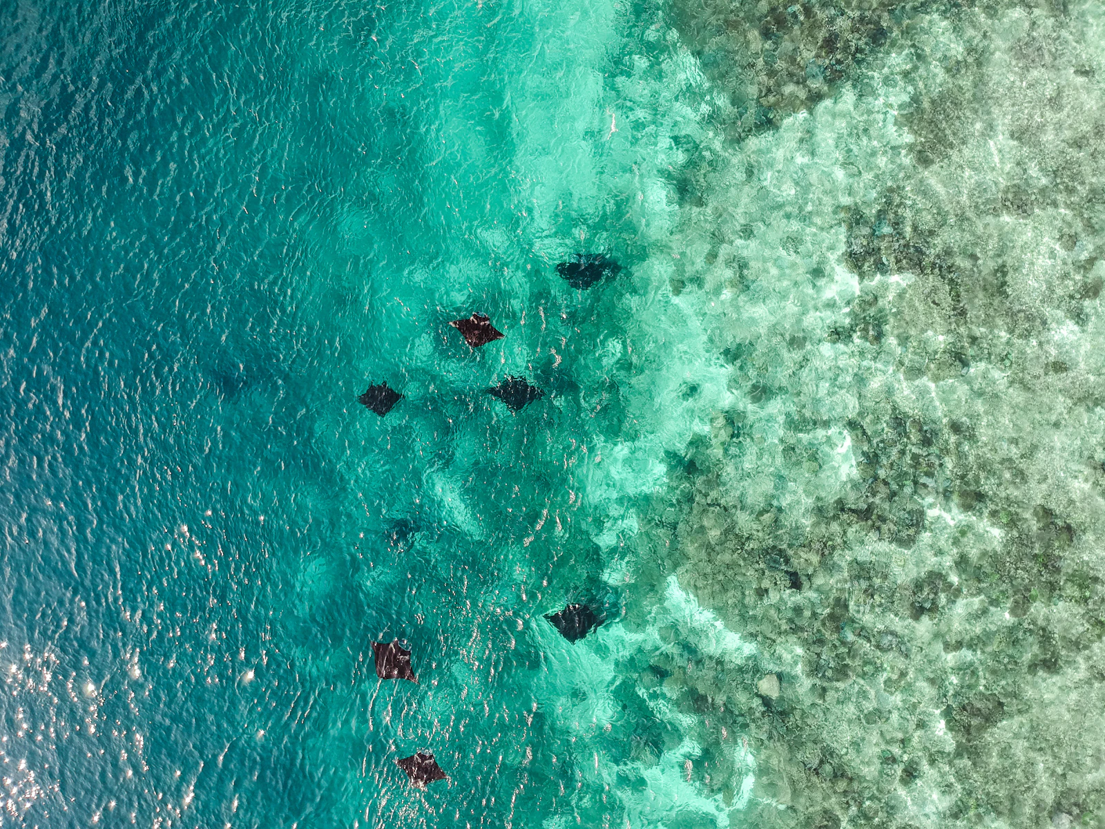 Labuan Bajo, Indonesia photo 5 by Aruka Death