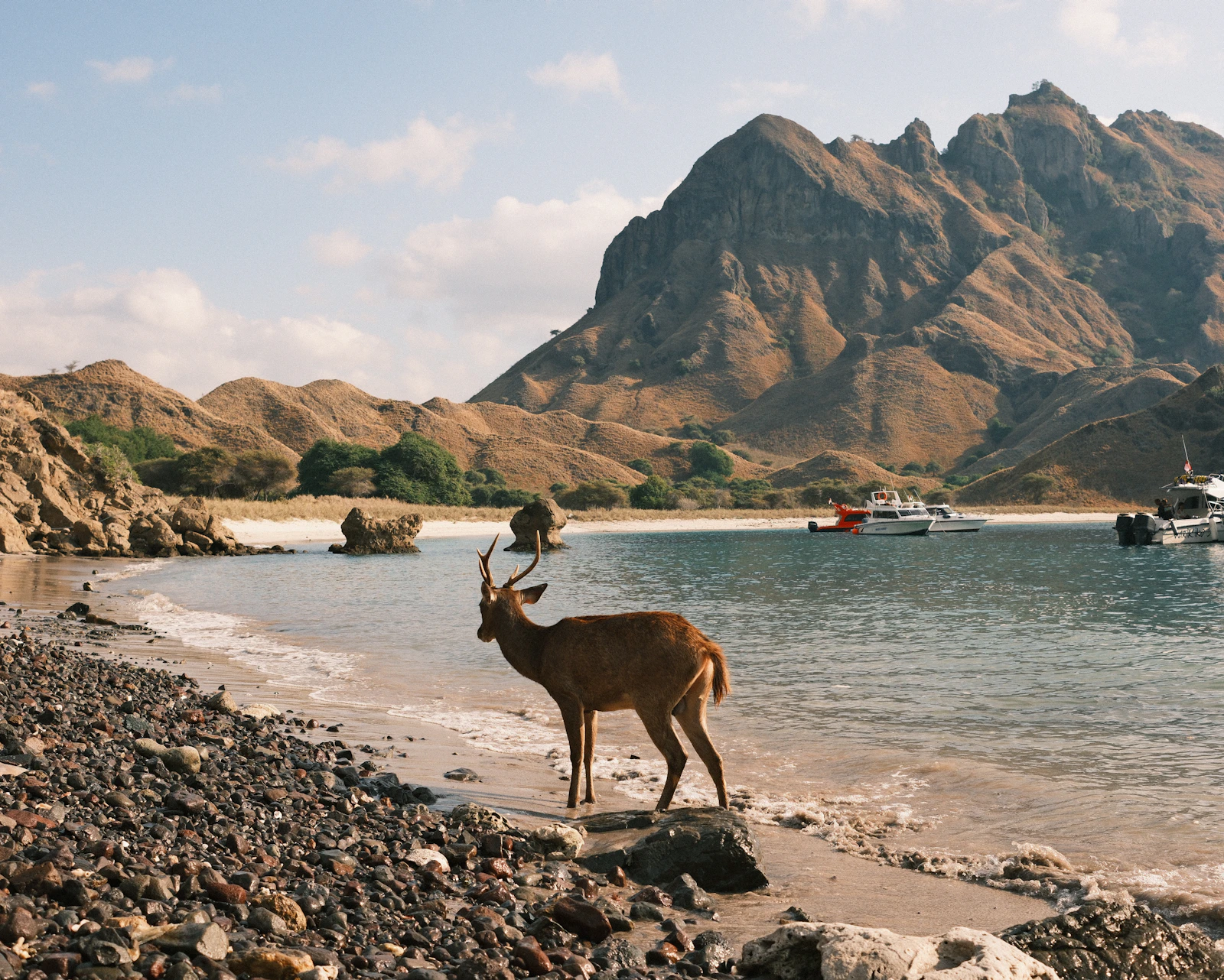 Labuan Bajo, Indonesia photo 6 by Dhiemas Afif Febriyan