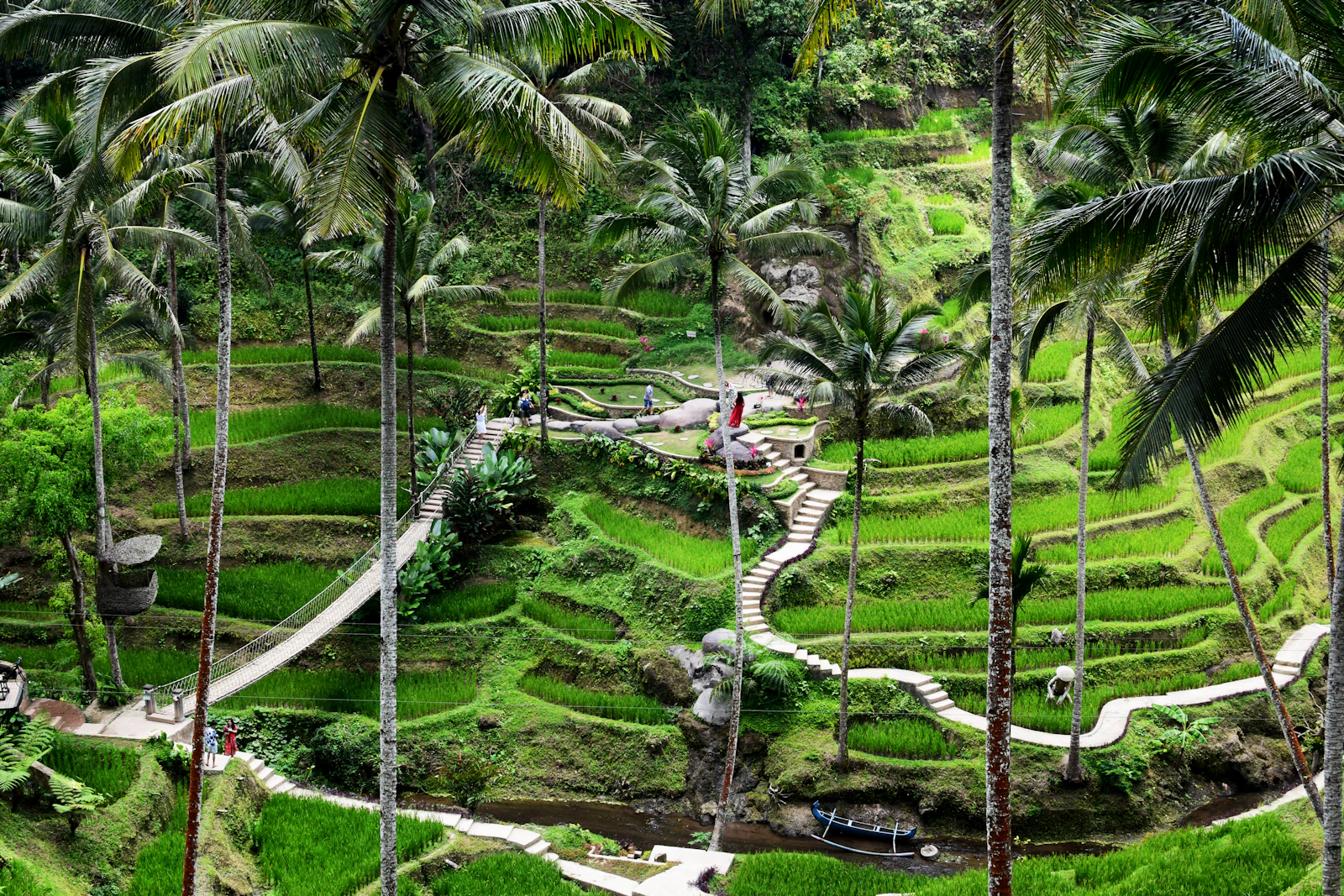 Ubud, Indonesia photo 10 by Matthew Waring