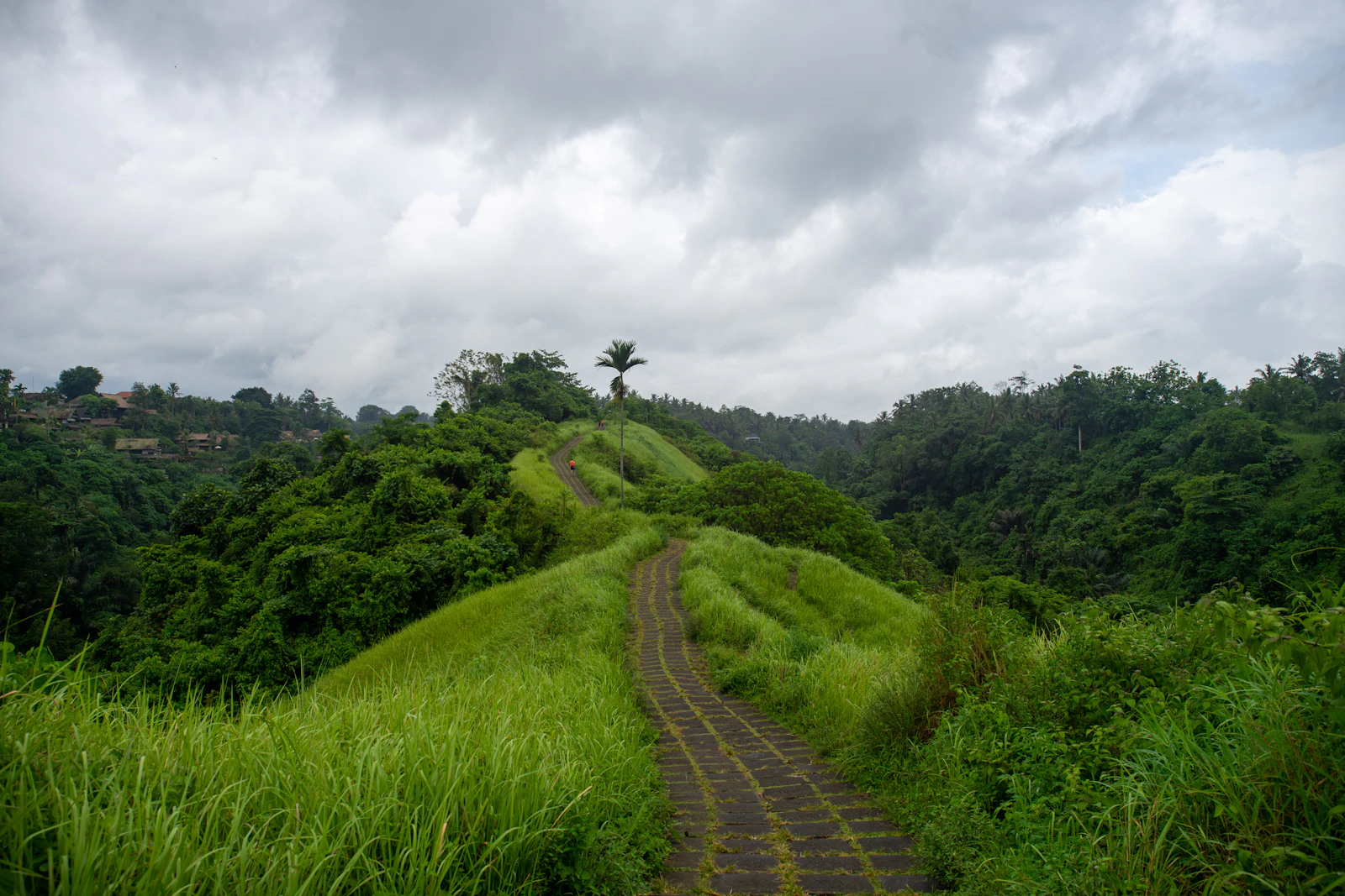 Ubud, Indonesia photo 27 by Declan Young