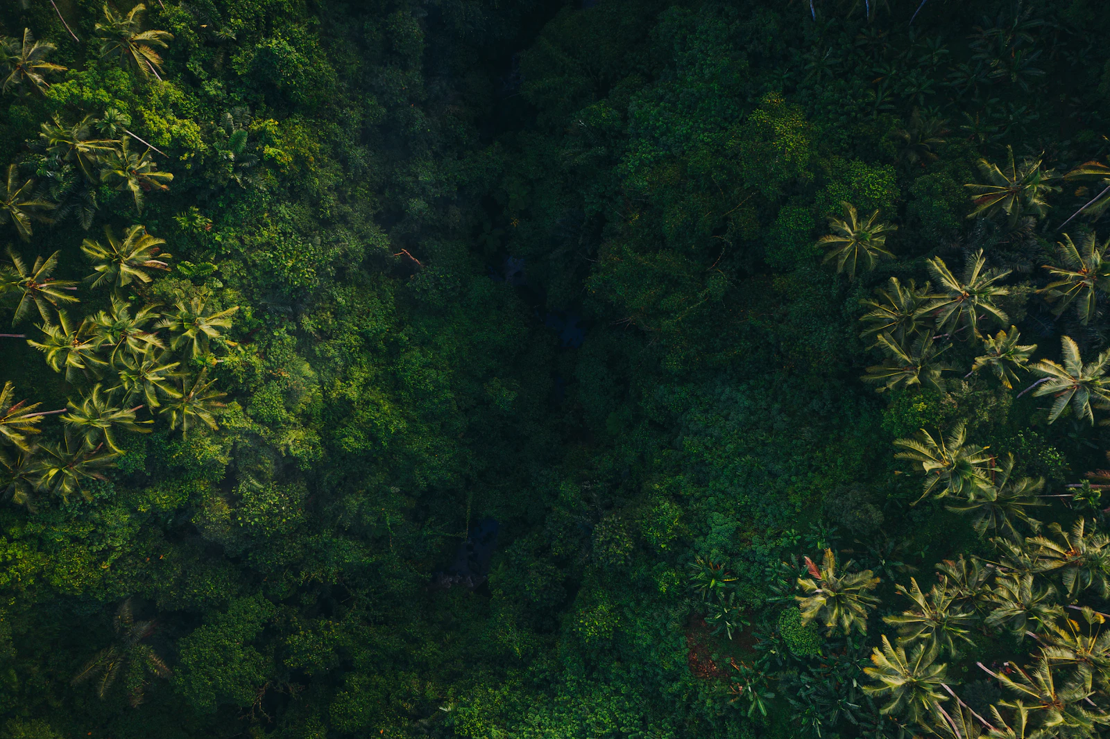 Ubud, Indonesia photo 26 by Geio Tischler
