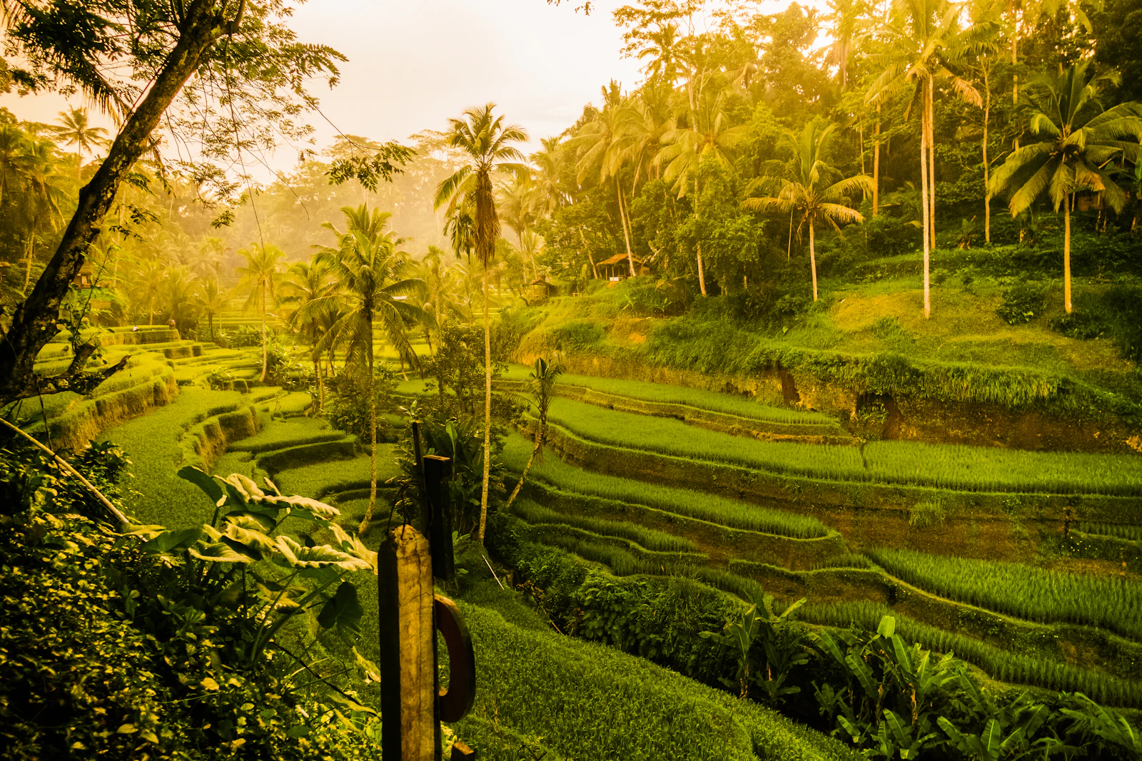 Ubud, Indonesia photo 3 by Frans Daniels