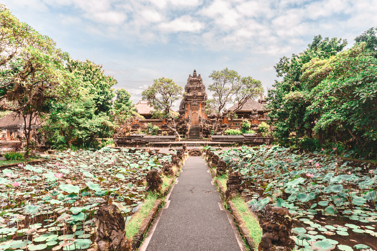 Ubud, Indonesia photo 20 by Johnny Africa