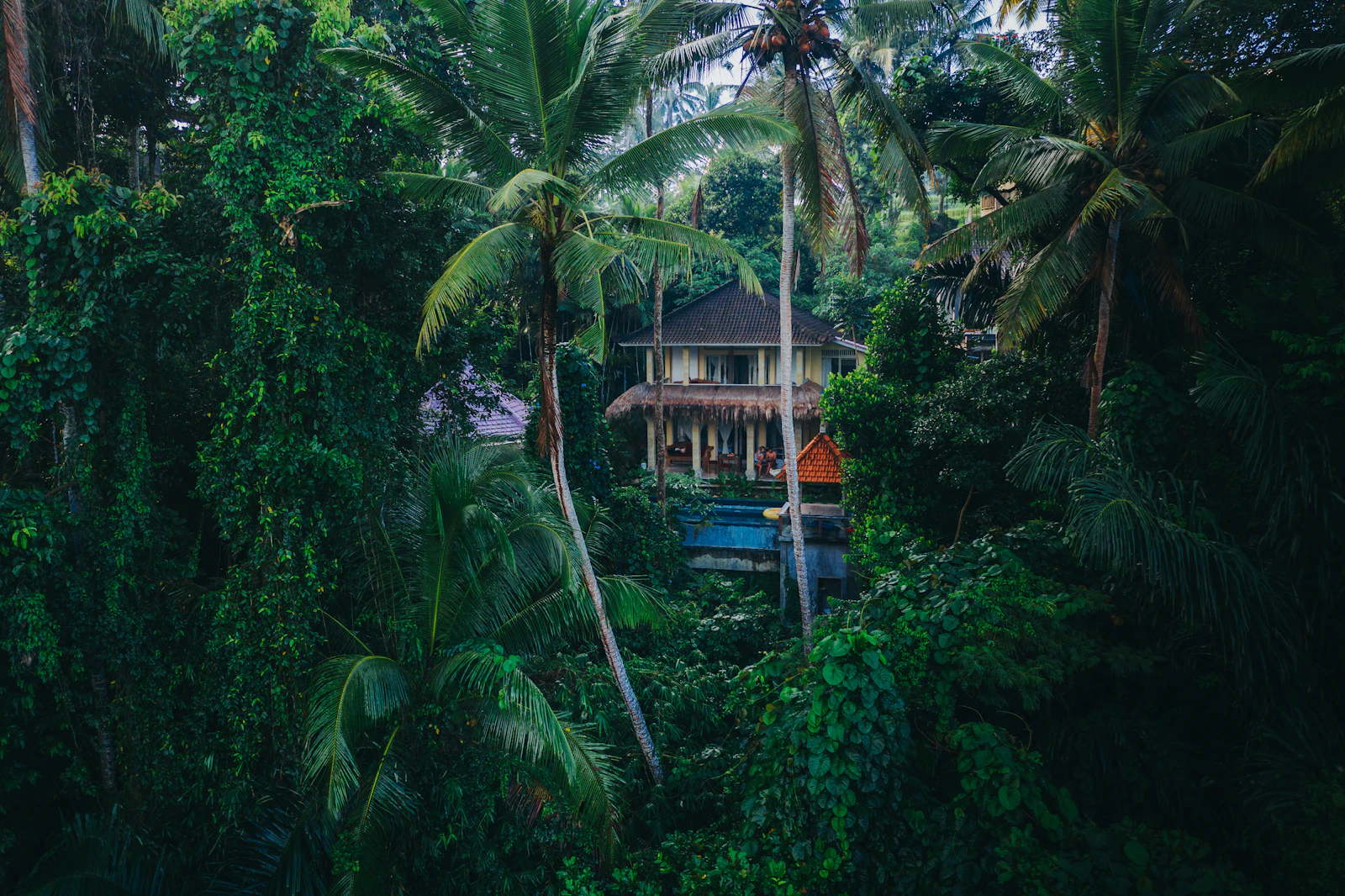 Ubud, Indonesia photo 23 by Geio Tischler