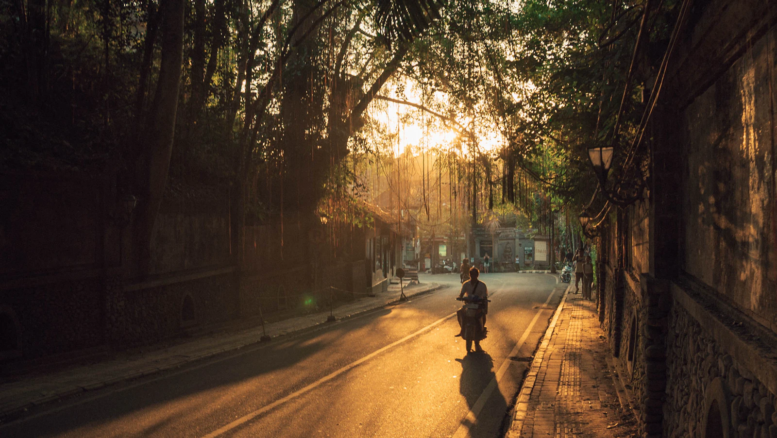 Ubud, Indonesia photo 5 by Patrick Craig