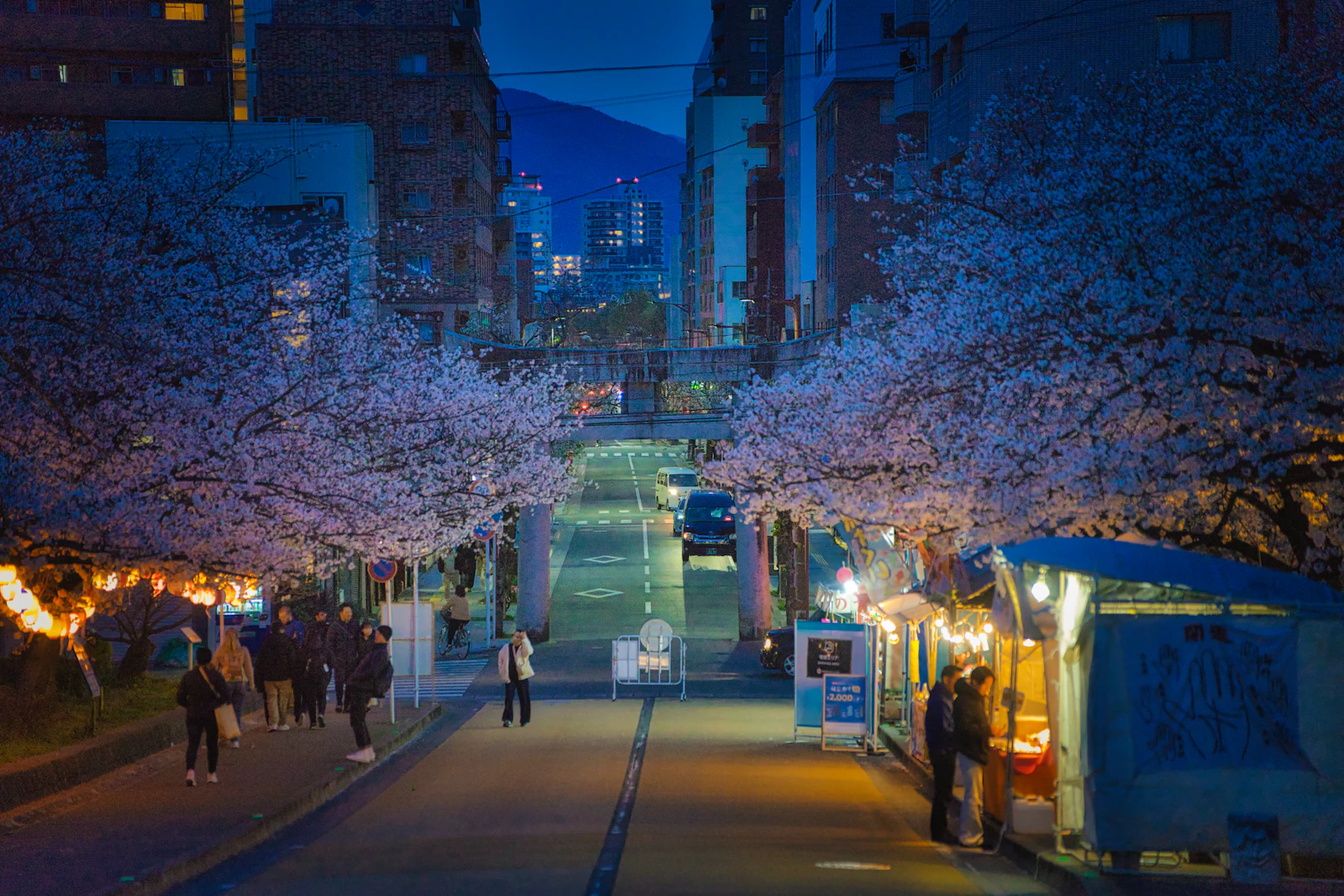 Fukuoka, Japan photo 2 by Yux Xiang