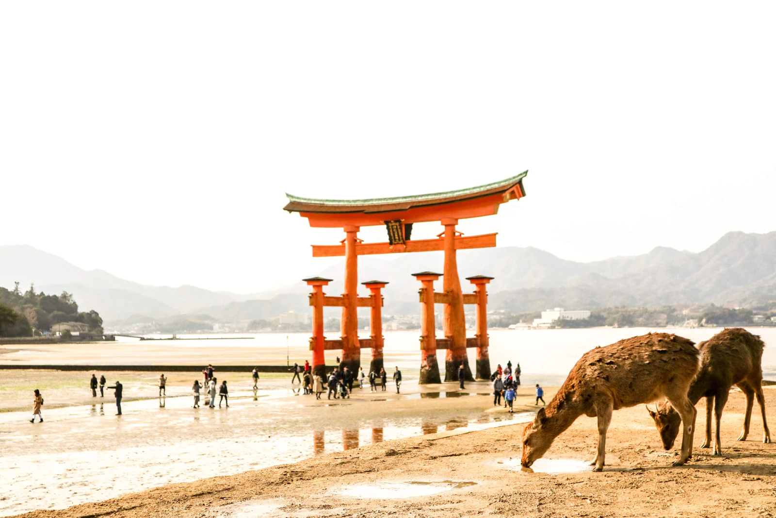 Hiroshima, Japan photo 13 by Joan Tran