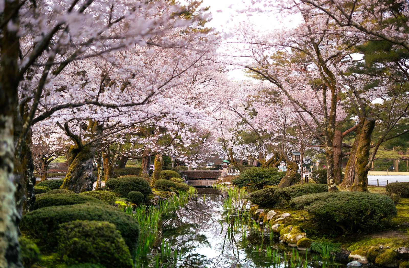 Kanazawa, Japan photo 4 by Marek Piwnicki