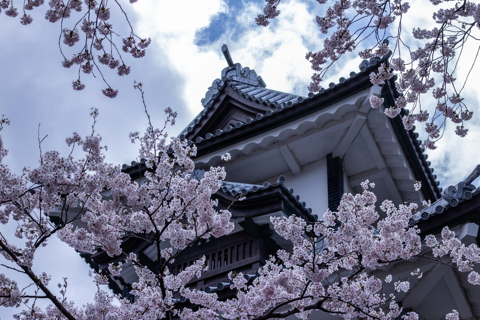 Kanazawa, Japan photo 1 by Robby McCullough