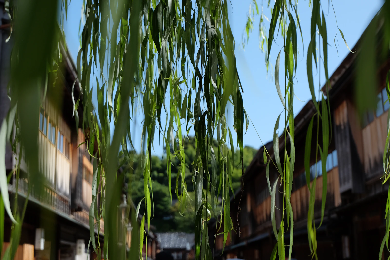 Kanazawa, Japan photo 26 by JP Sheard