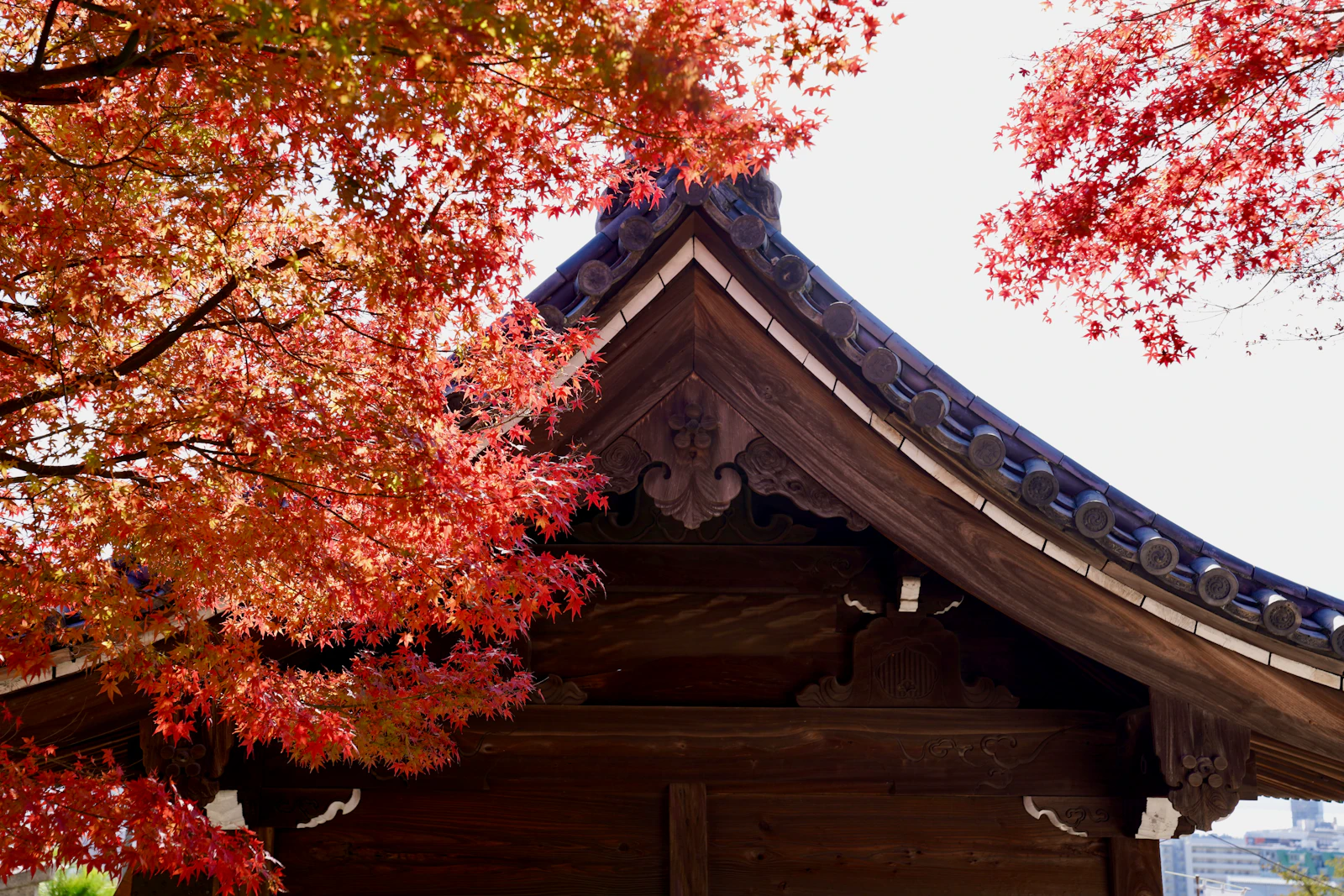 Kobe, Japan photo 7 by Gang Hao