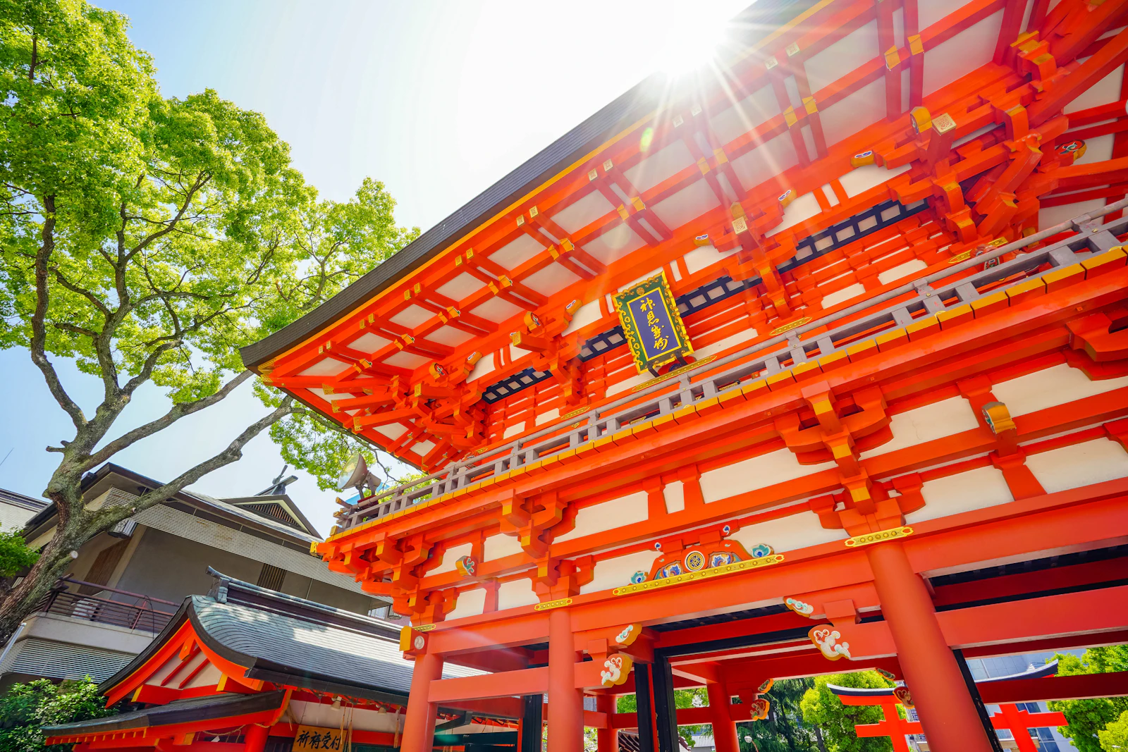 Kobe, Japan photo 14 by Zion C