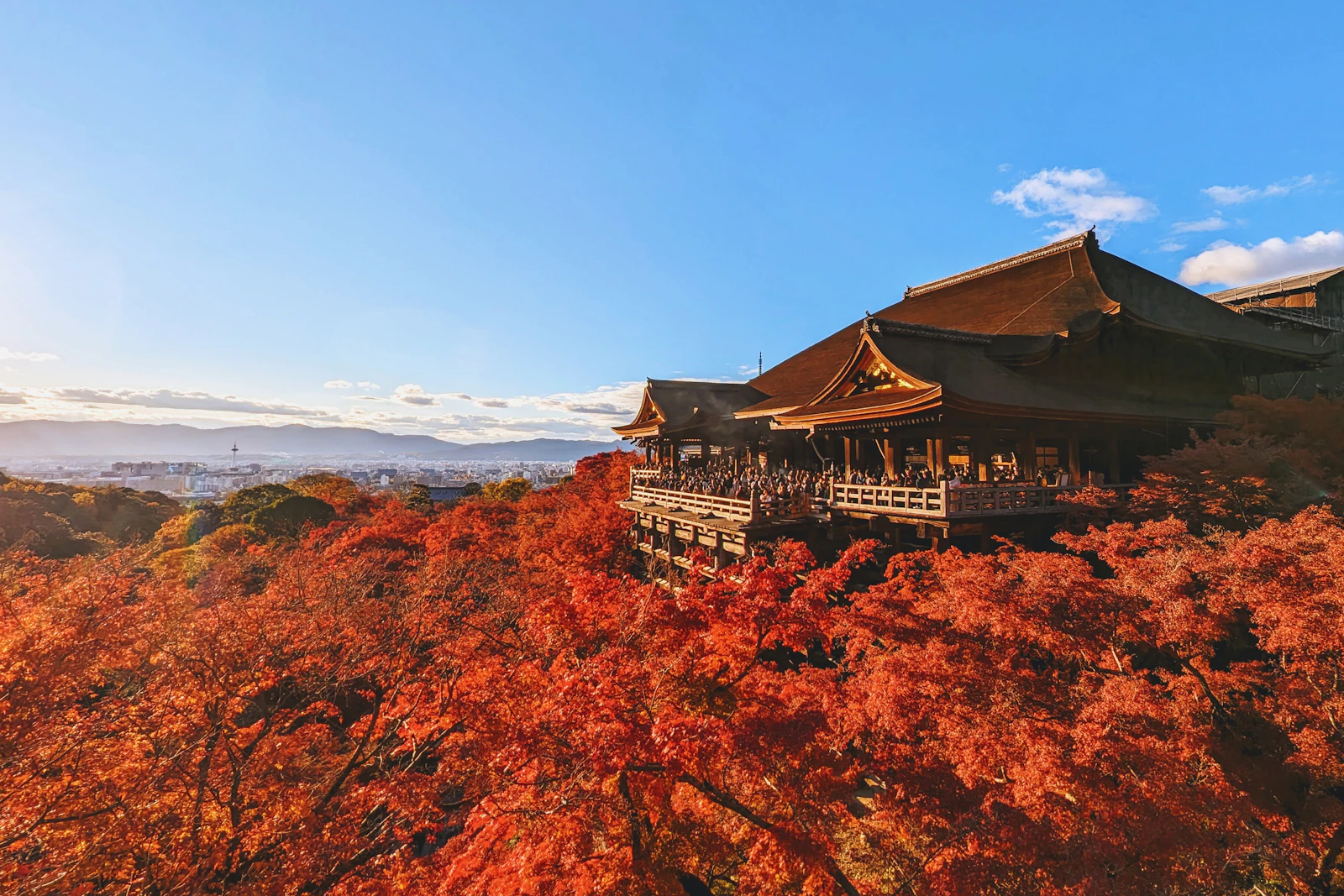 Kyoto, Japan photo 23 by Daniel Beauchamp