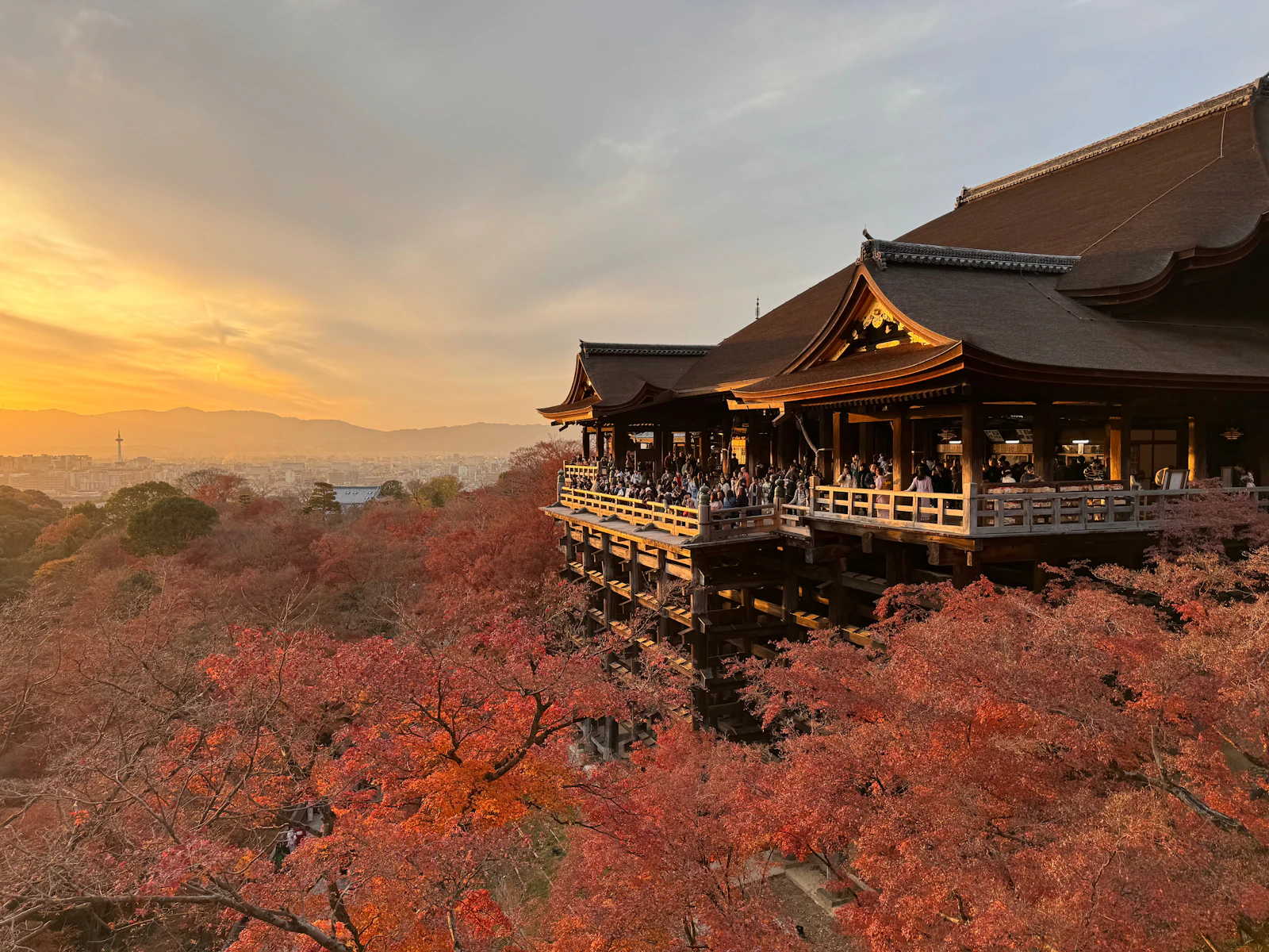 Kyoto, Japan photo 10 by Omkar Jori