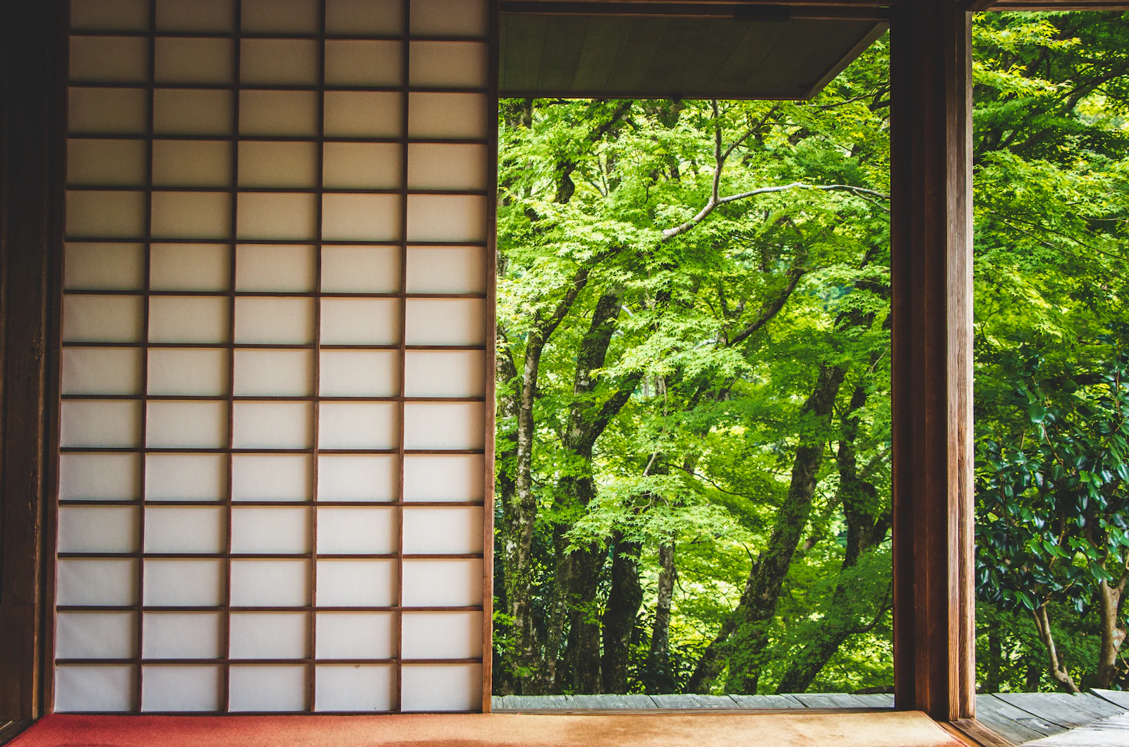Kyoto, Japan photo 21 by enkuu smile