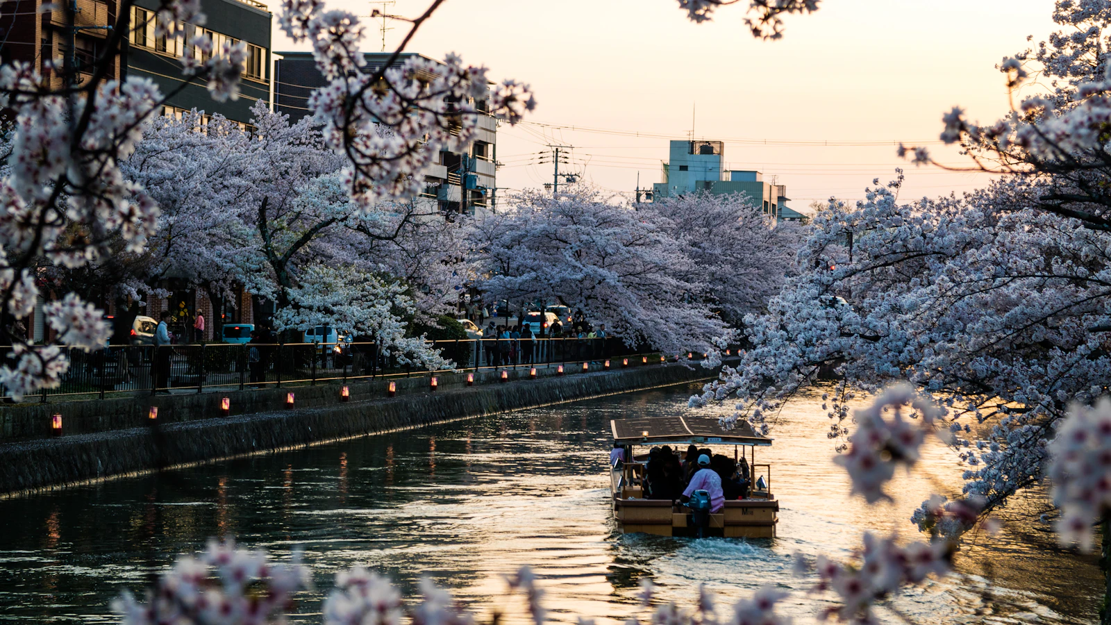 Kyoto, Japan photo 6 by Kristin Wilson