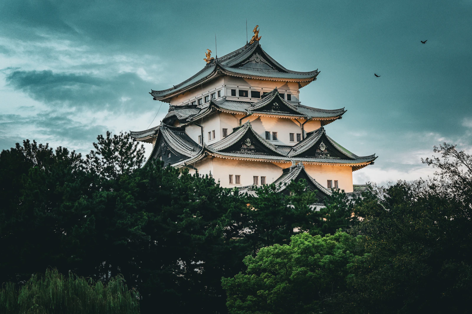 Nagoya, Japan photo 3 by Tim D