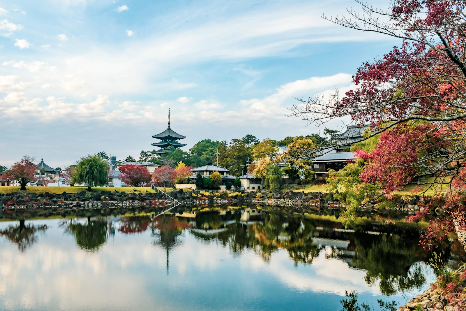 Nara, Japan photo 4 by Jo Sorgenfri