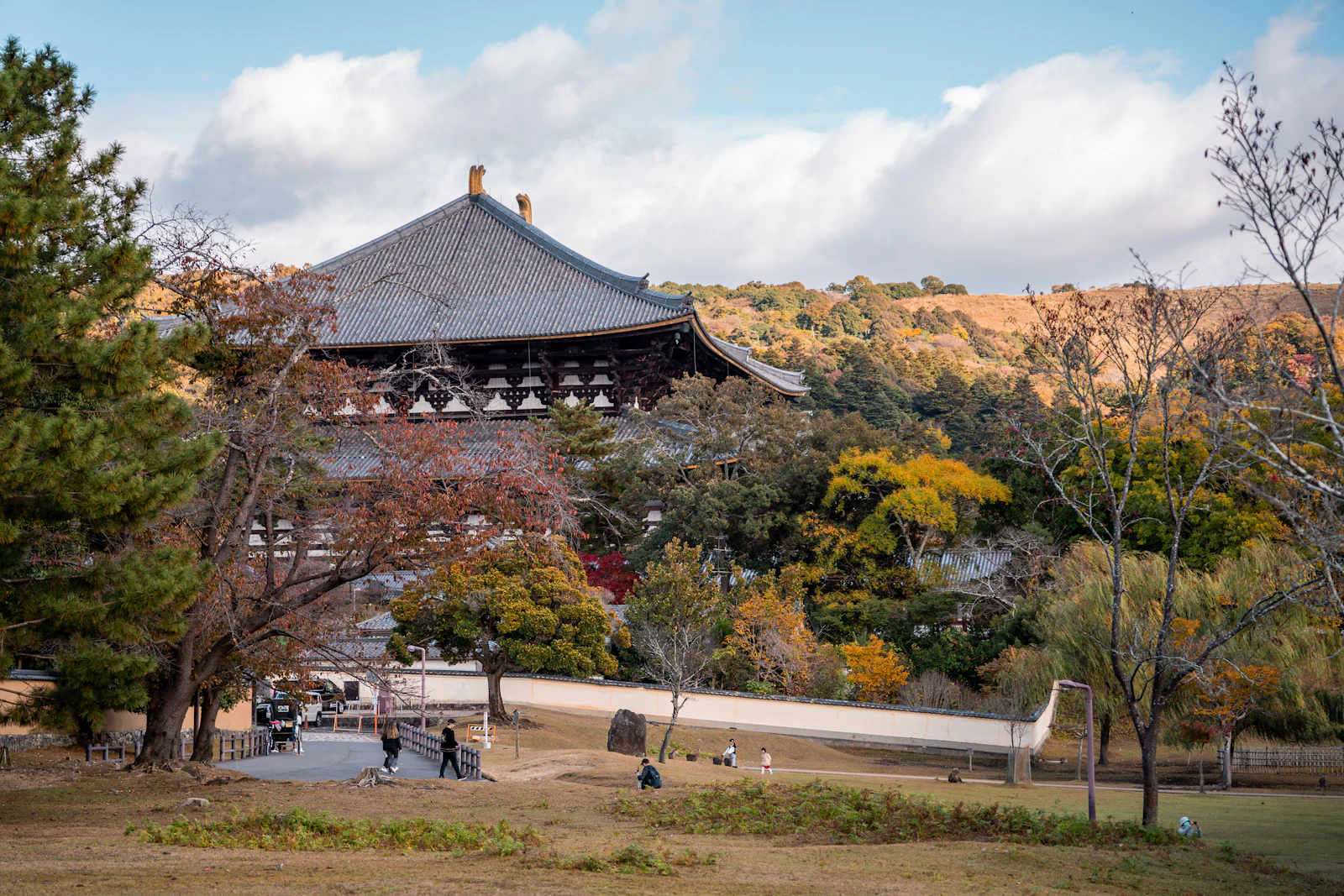 Nara, Japan photo 20 by Koon Chakhatrakan