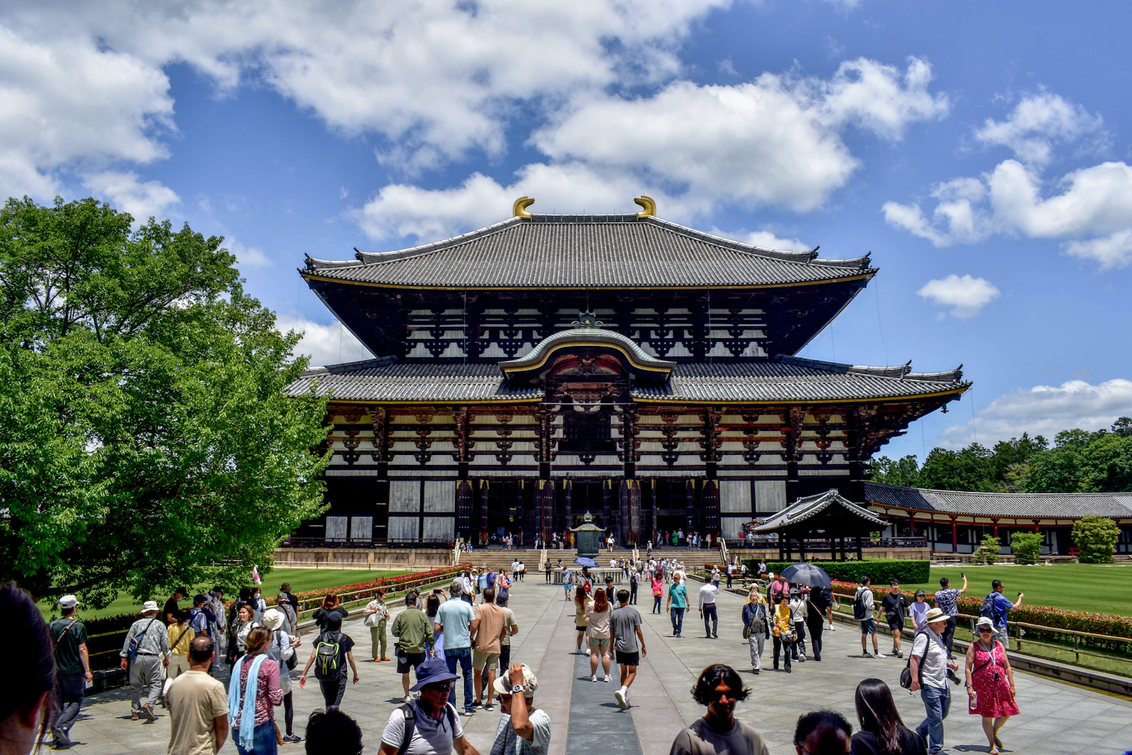 Nara, Japan photo 21 by Alex