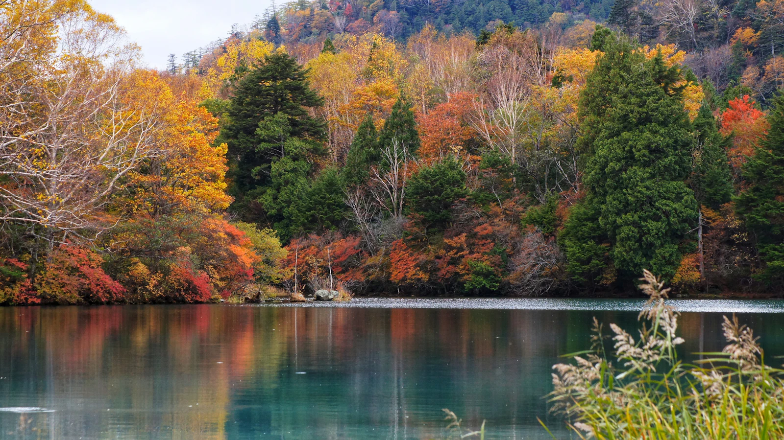 Nikko, Japan photo 28 by DustyRoze