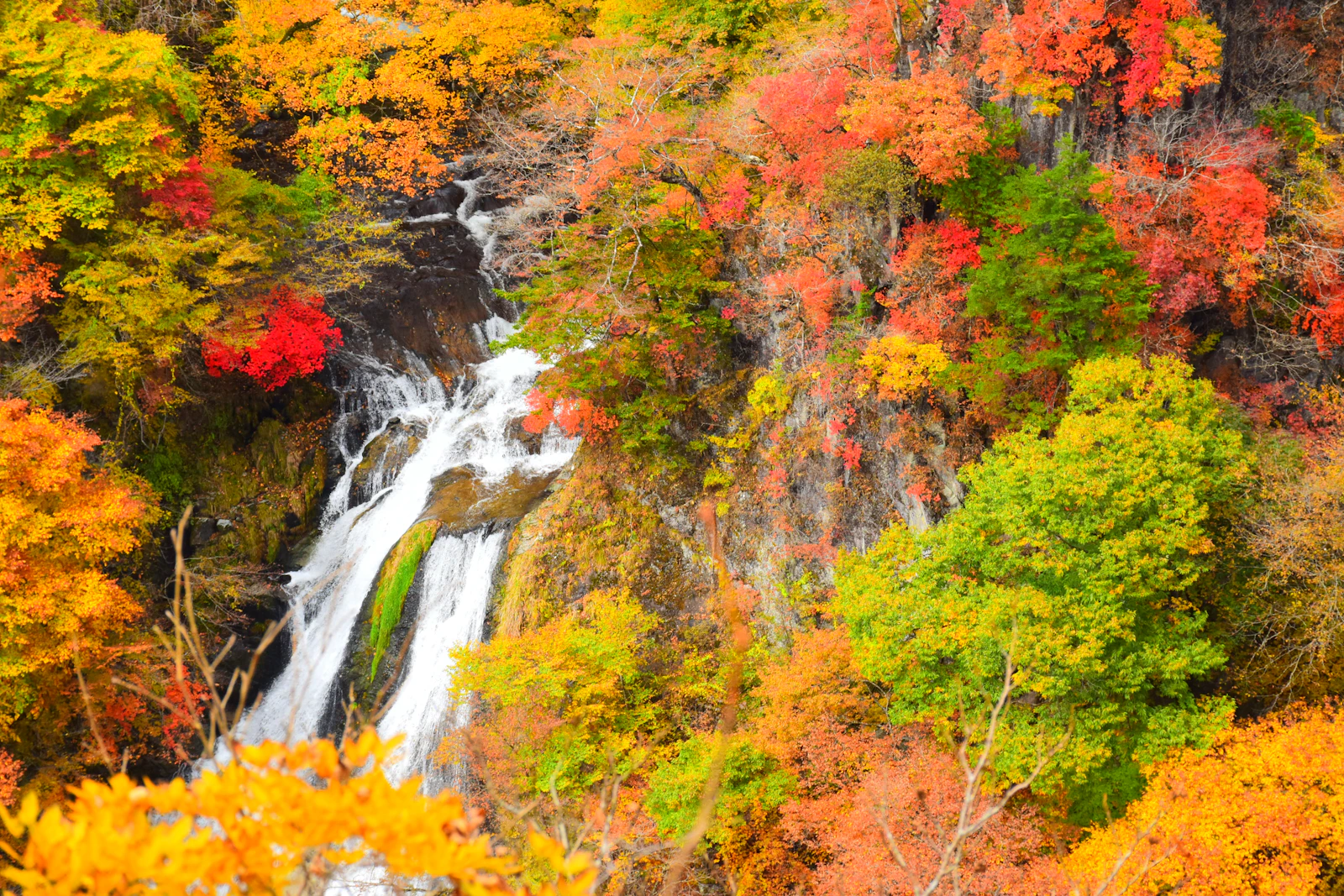 Nikko, Japan photo 5 by Pratik Bisht