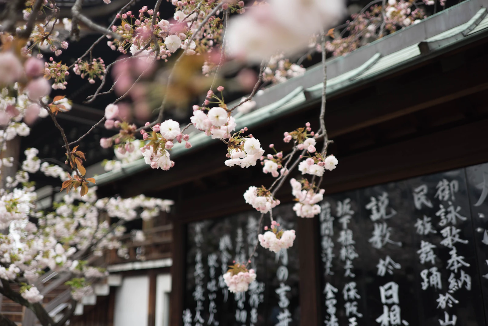Osaka, Japan photo 9 by Galen Crout
