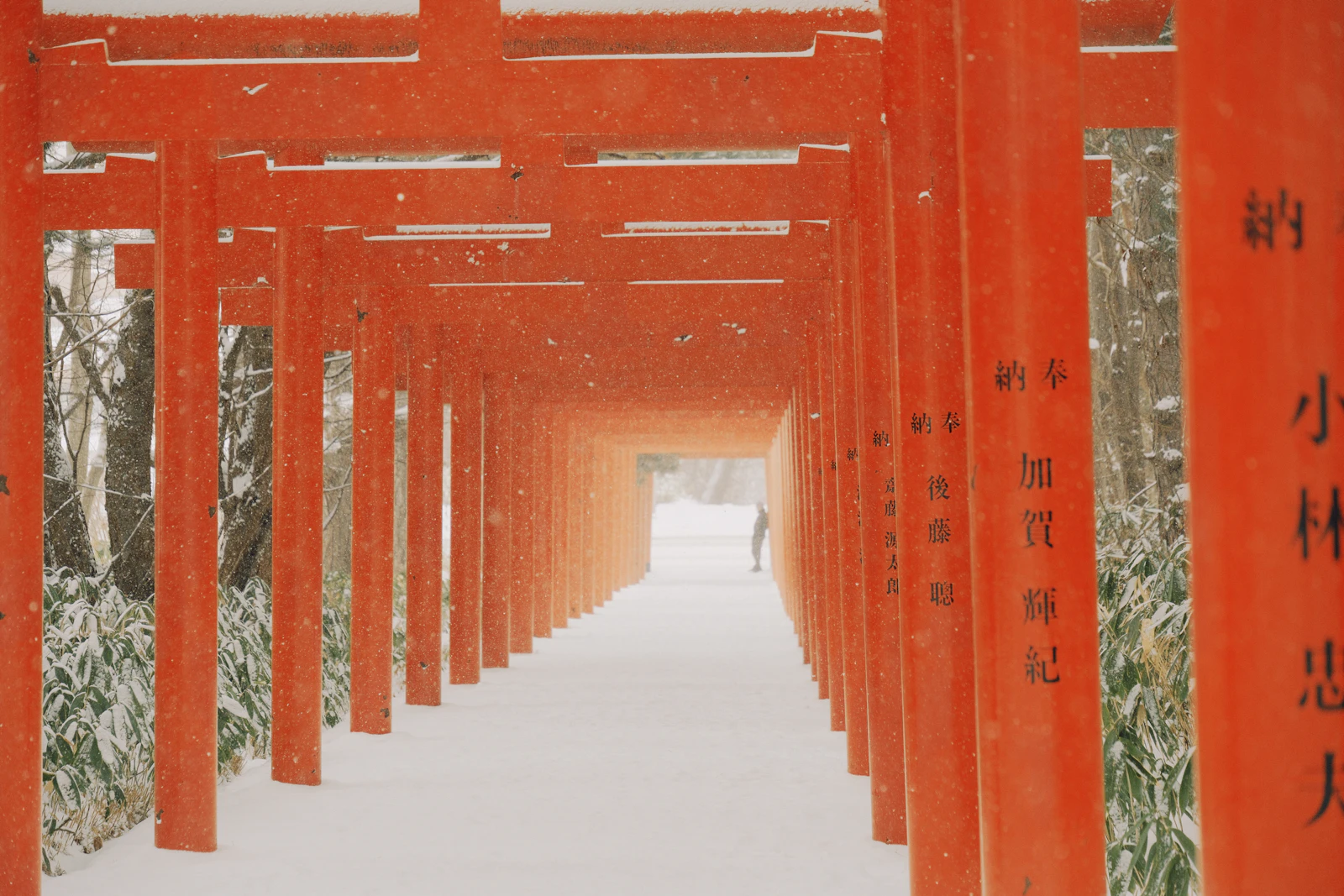 Sapporo, Japan photo 25 by Cuvii