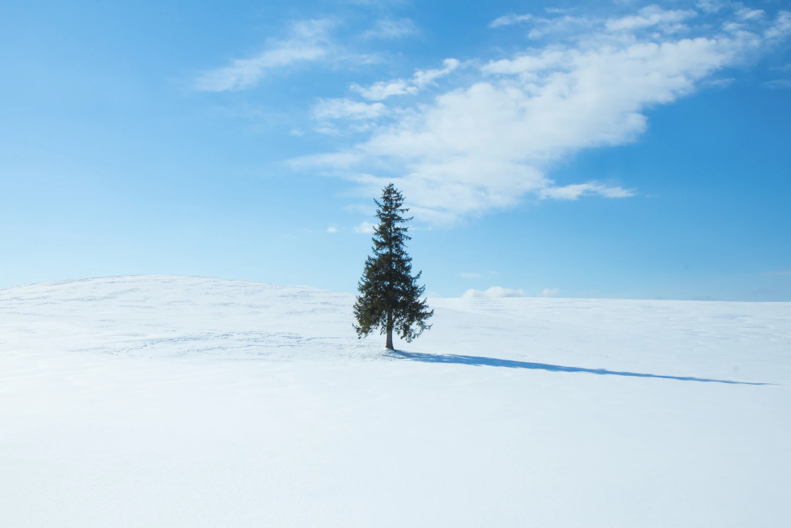 Sapporo, Japan photo 3 by hyun kim