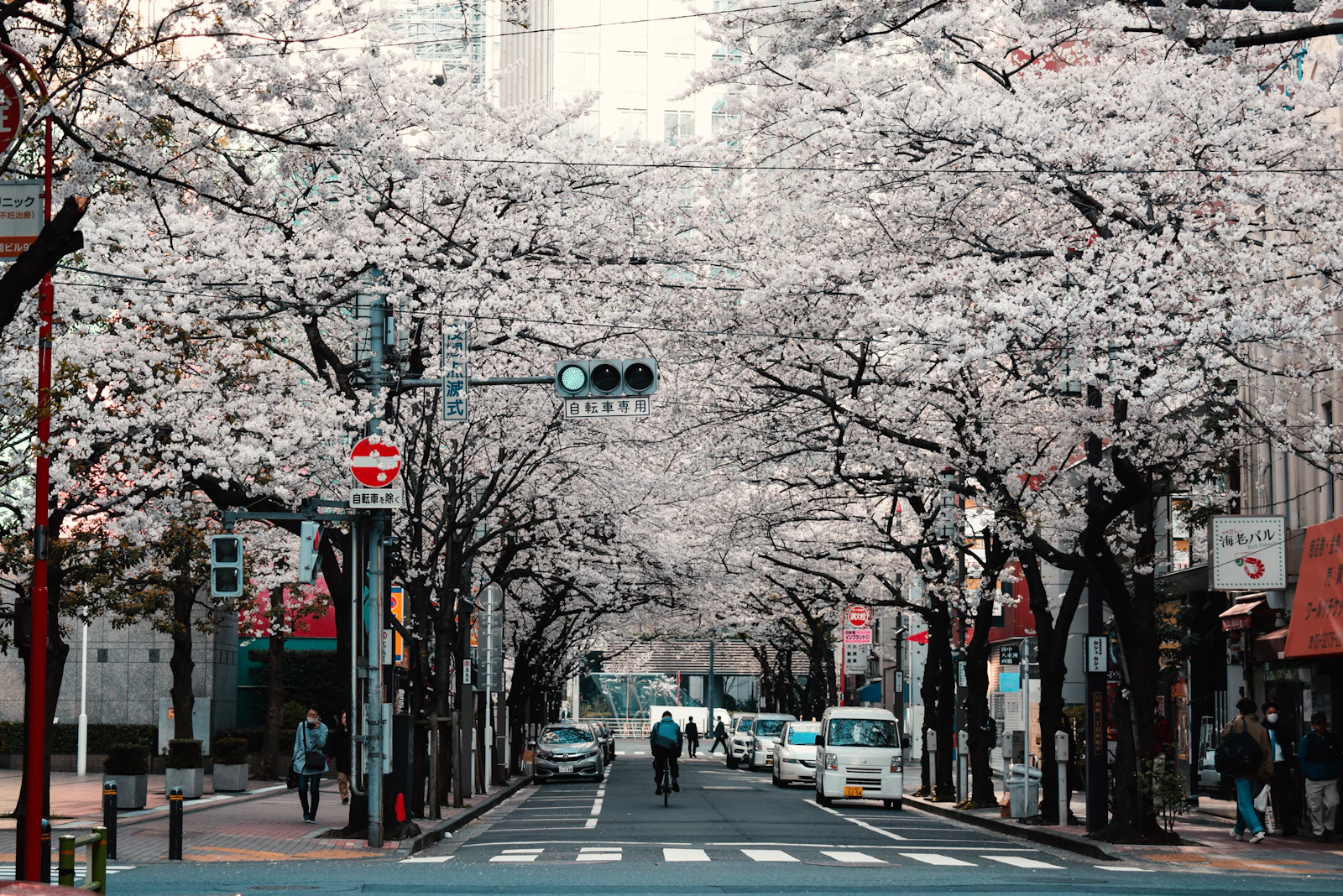 Tokyo, Japan photo 12 by Agathe