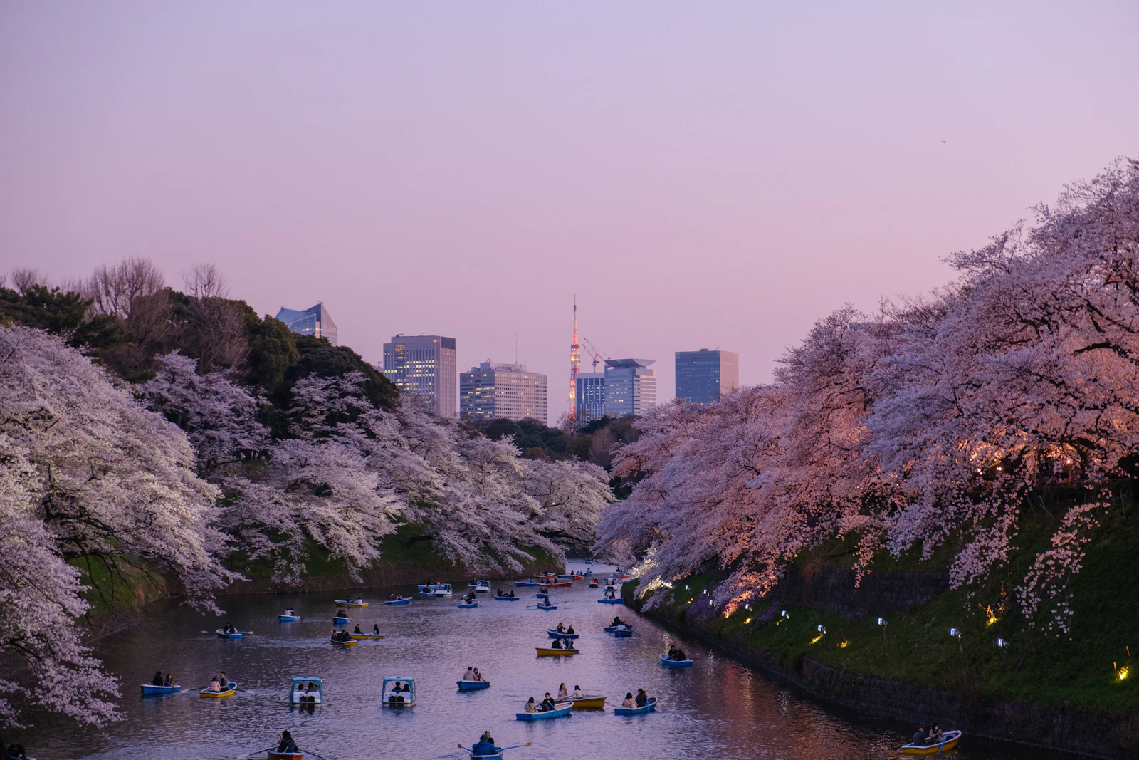 Tokyo, Japan photo 6 by Yu Kato