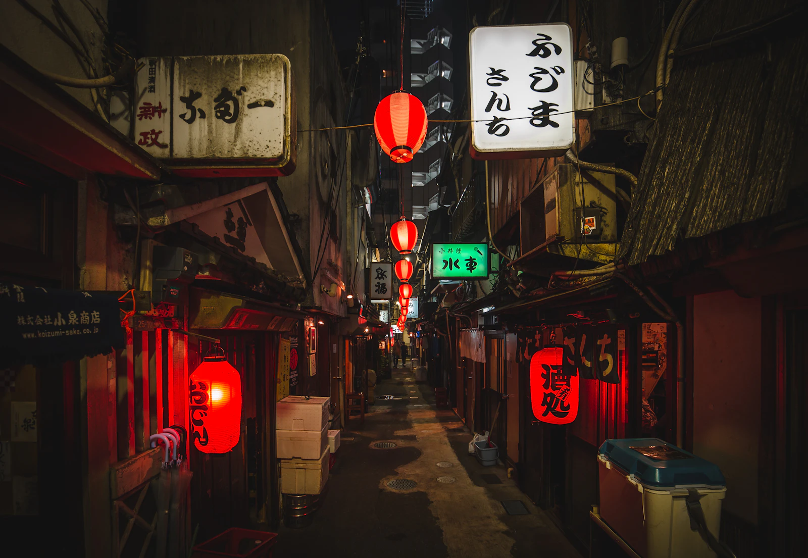 Tokyo, Japan photo 9 by Denys Nevozhai