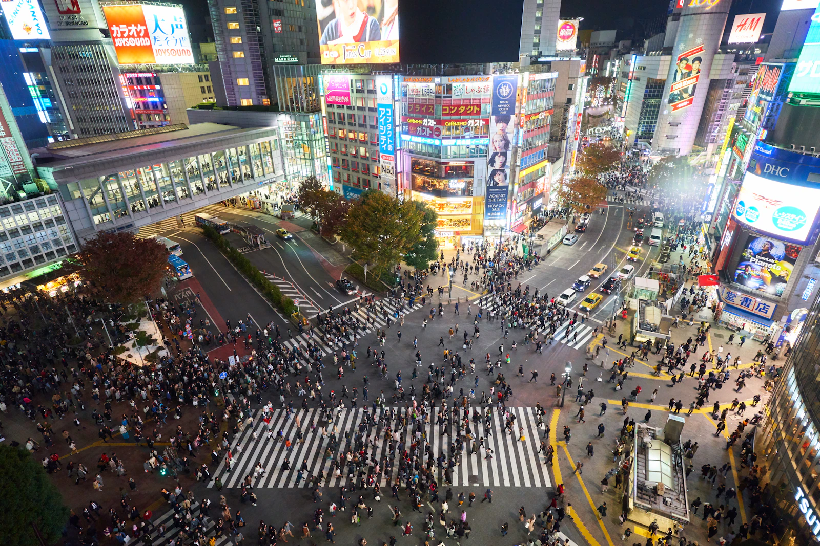 Tokyo, Japan photo 19 by Timo Volz