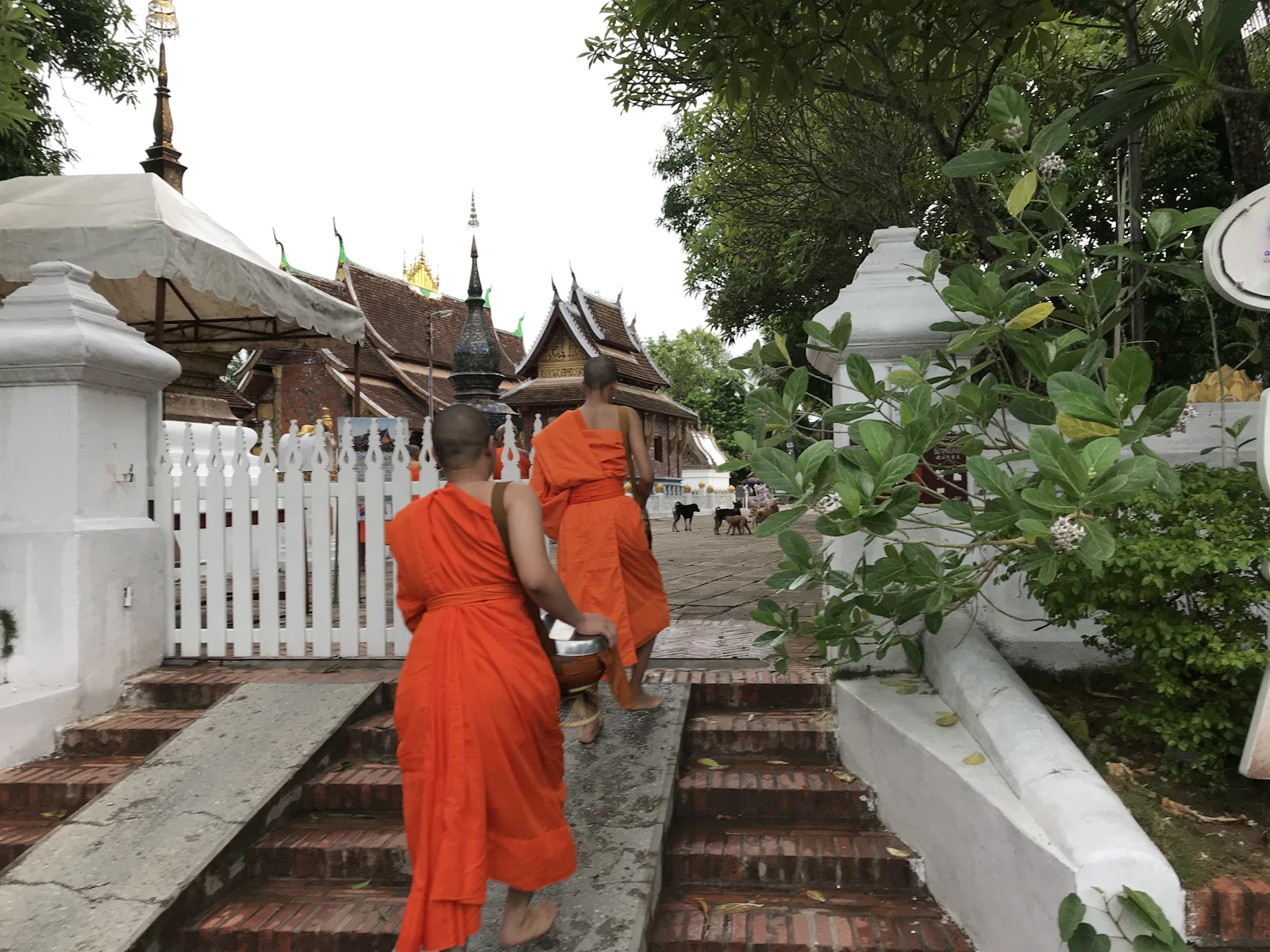 Luang Prabang, Laos photo 28 by Deepavali Gaind
