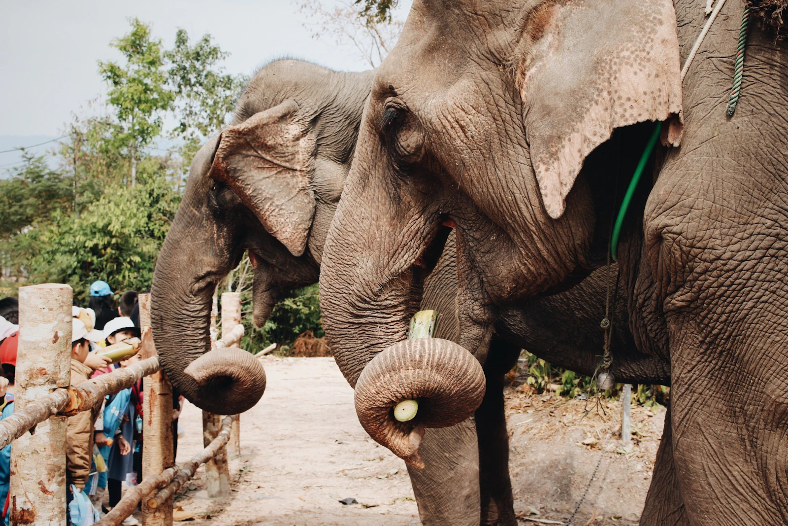 Vientiane, Laos photo 22 by Irene Grace Tolentino