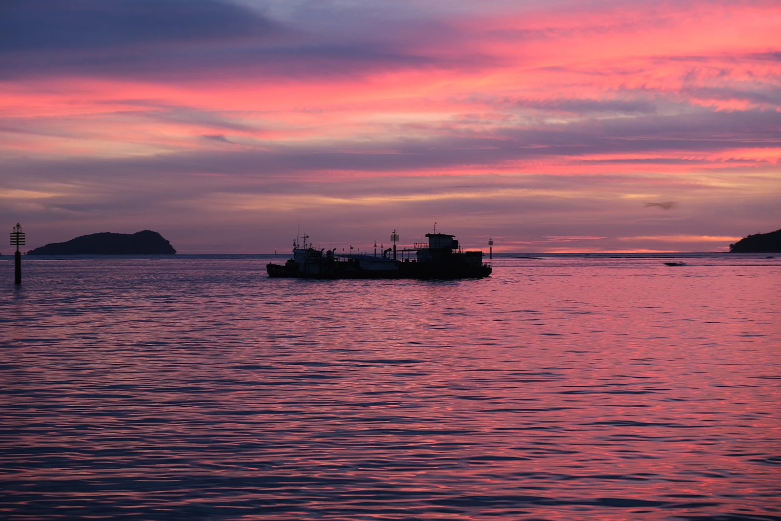 Kota Kinabalu, Malaysia photo 13 by Pikacent